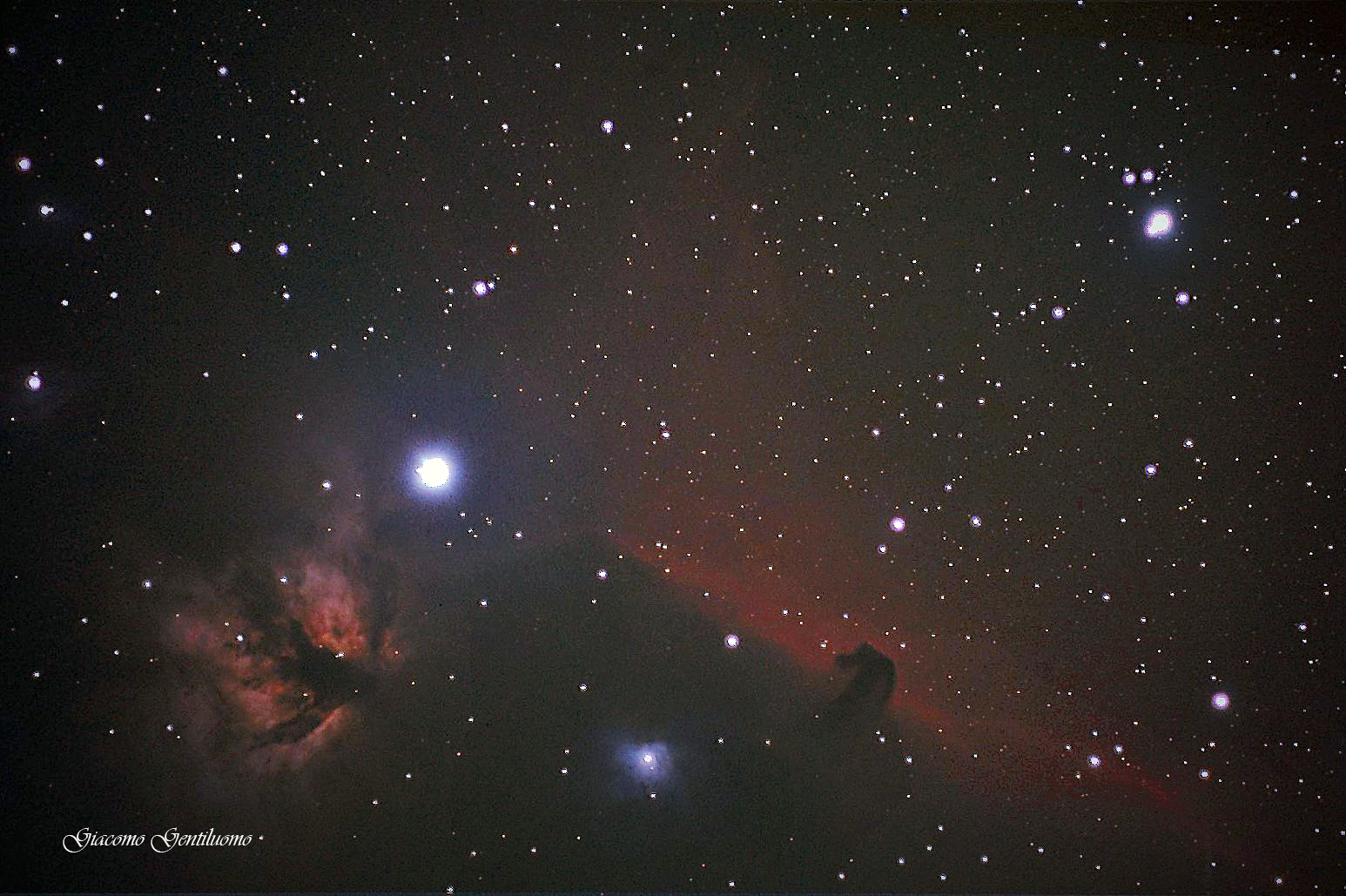 nebulosa oscura testa di cavallo e neb. fiamma