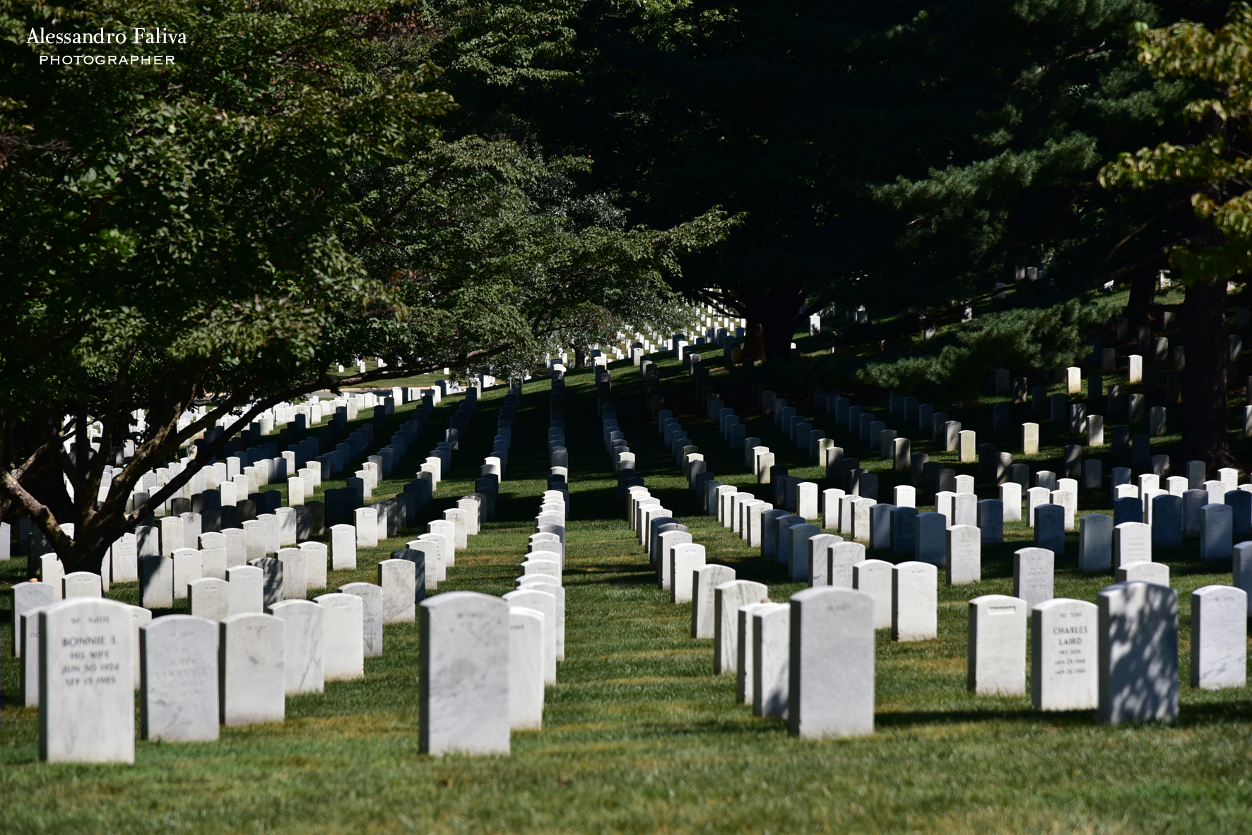 Arlington Cemetery