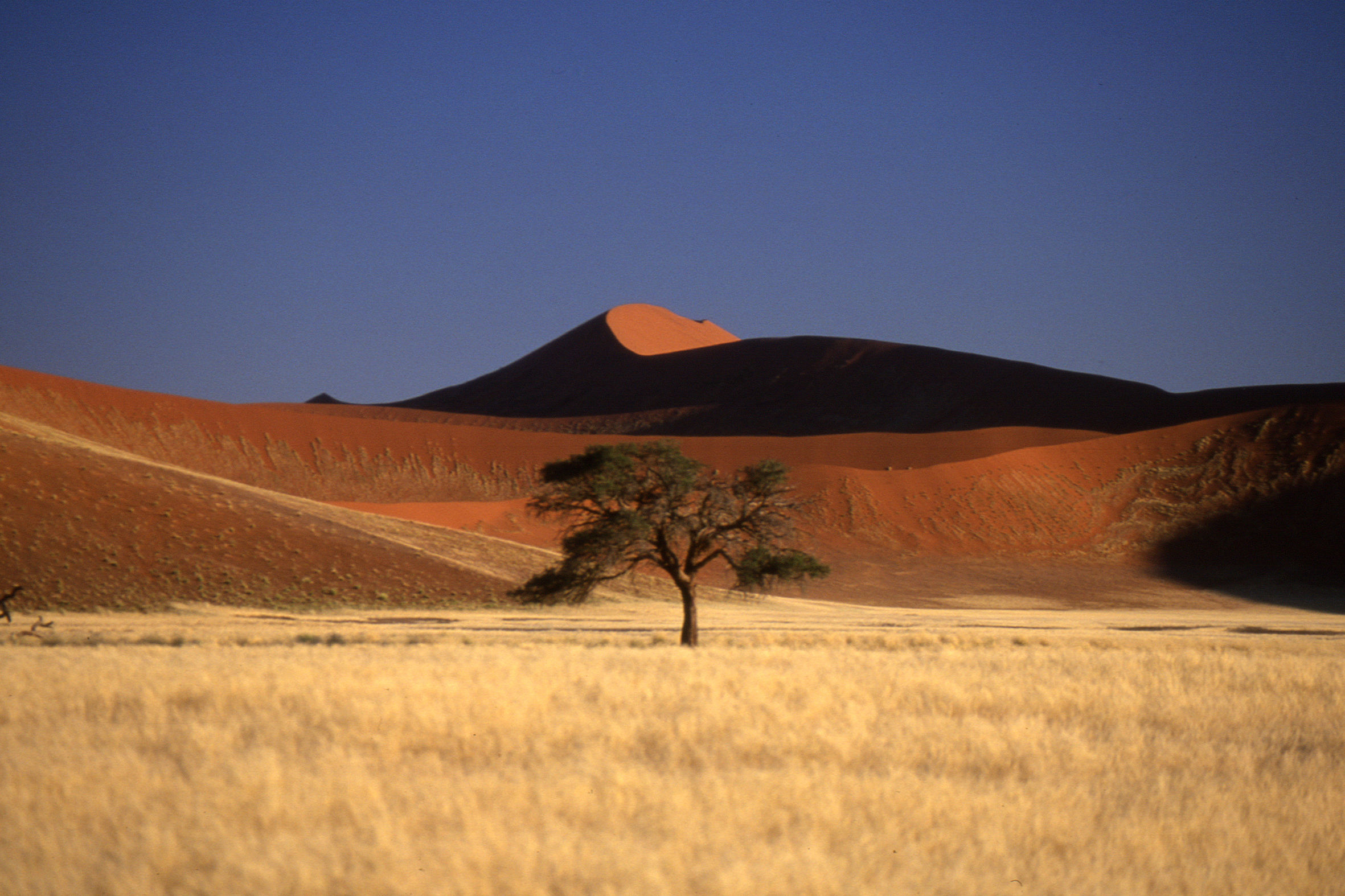 Namib Desert