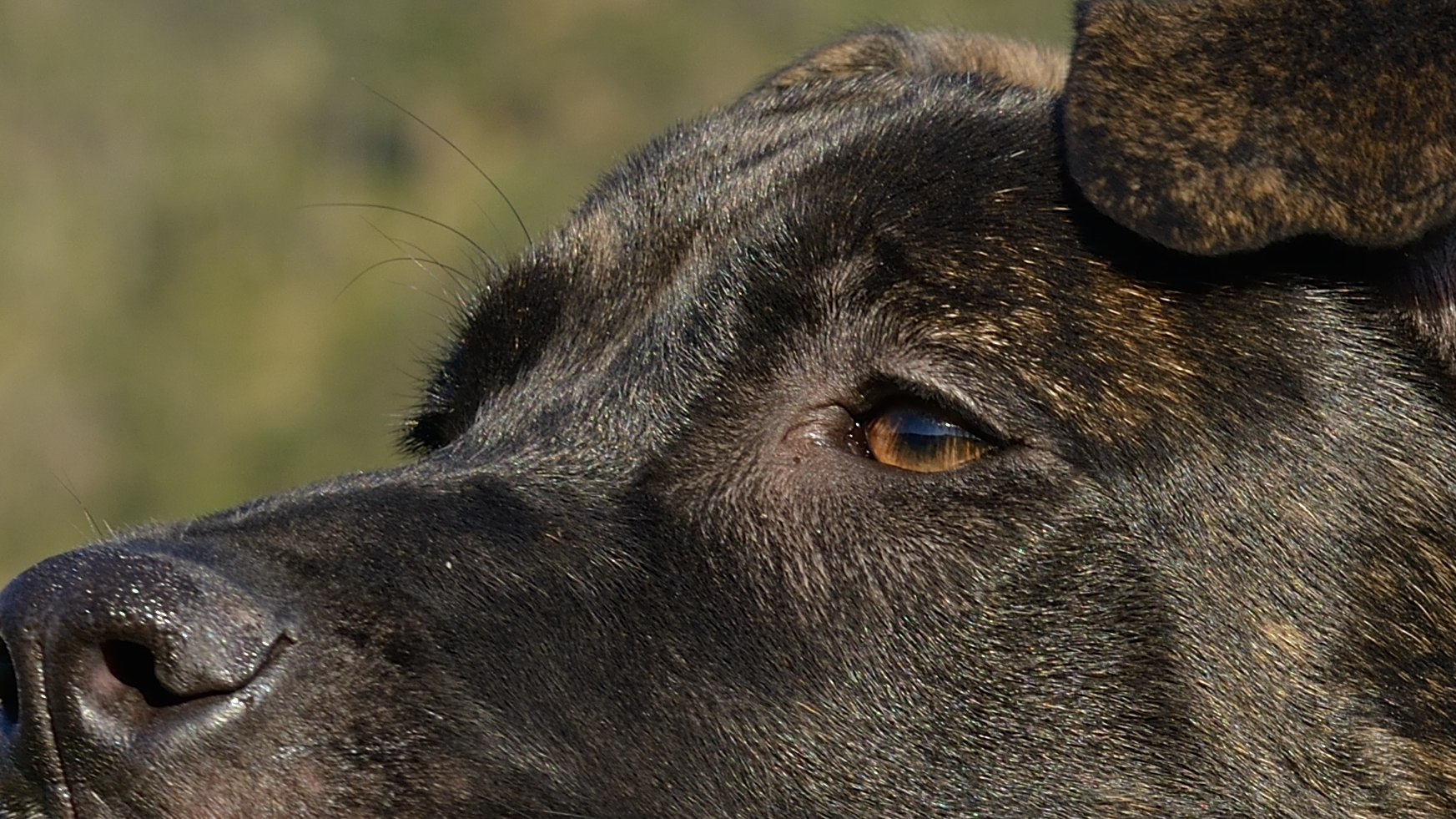 scrutando l'orizzonte