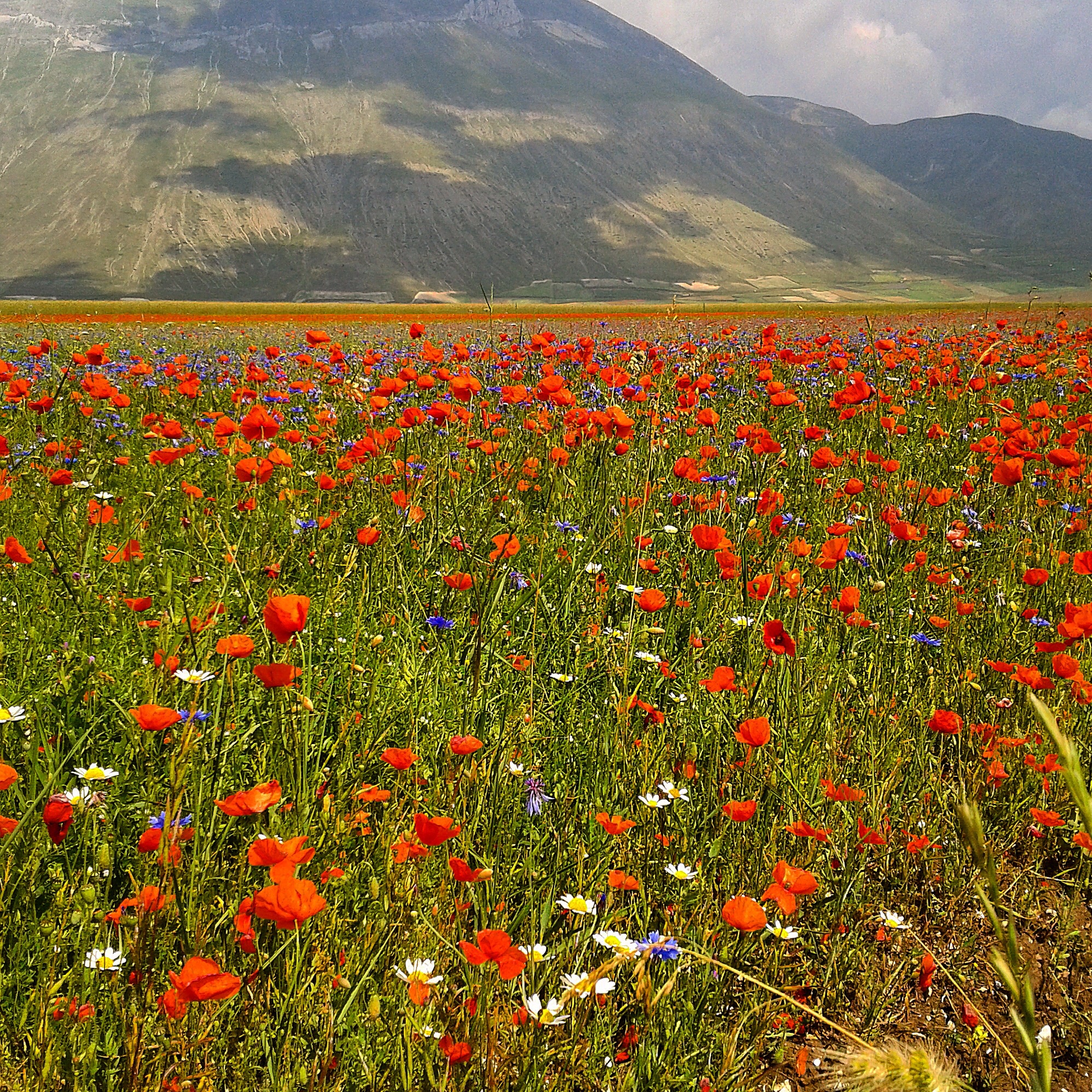 Il profumo dell'aria
