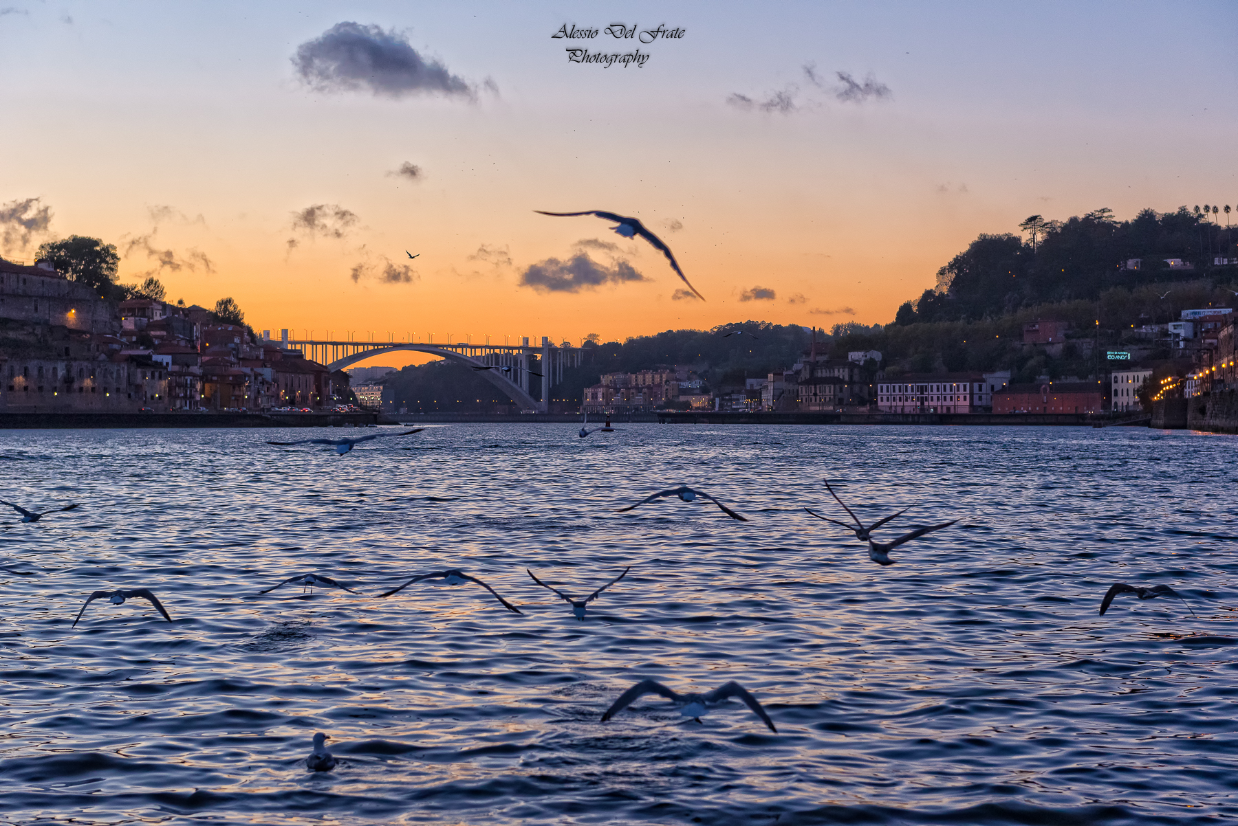 Contemplando l'ultimo volo