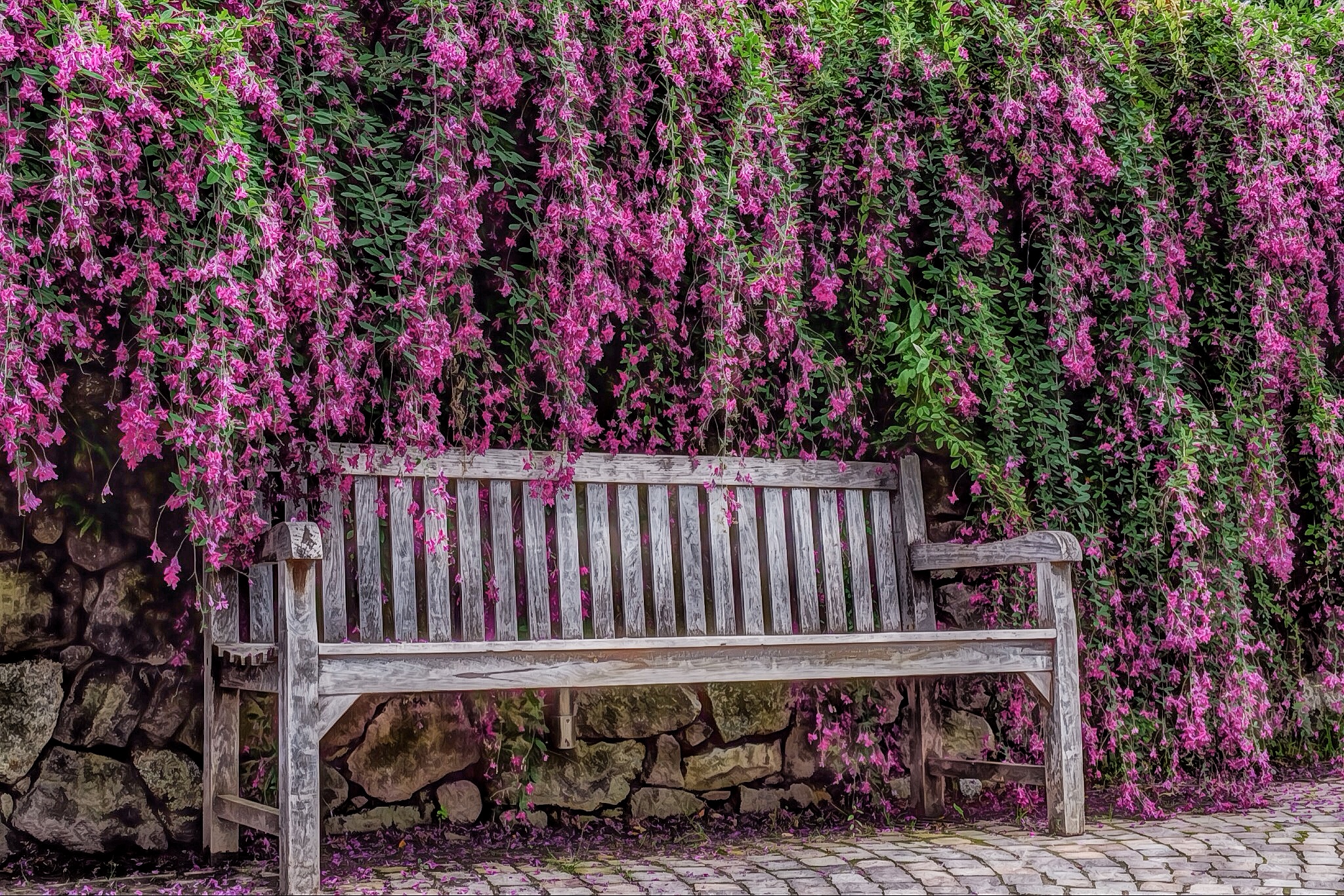 Trauttmansdorff Gardens