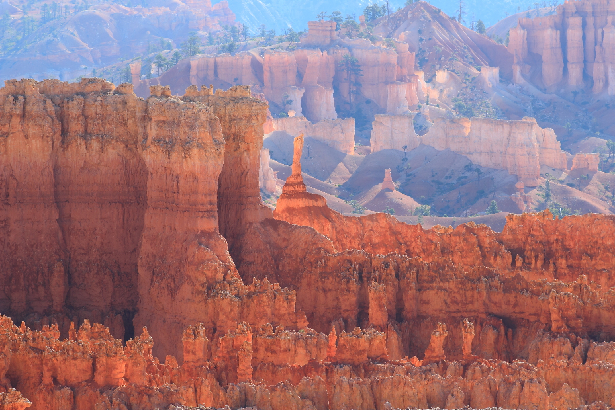 Hoodoos Bryce Canyon
