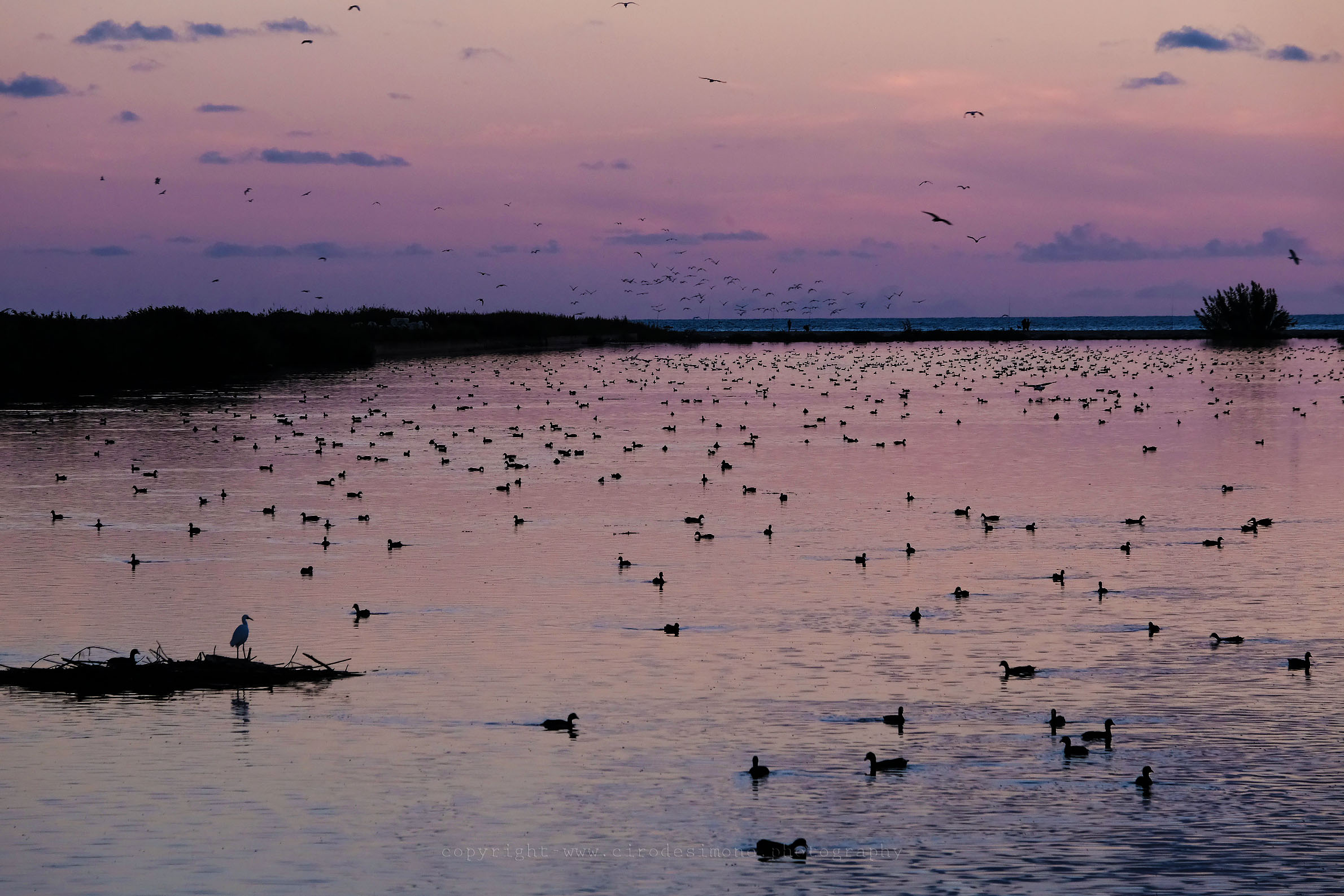 Tramonto su i regi lagni Castel Volturno