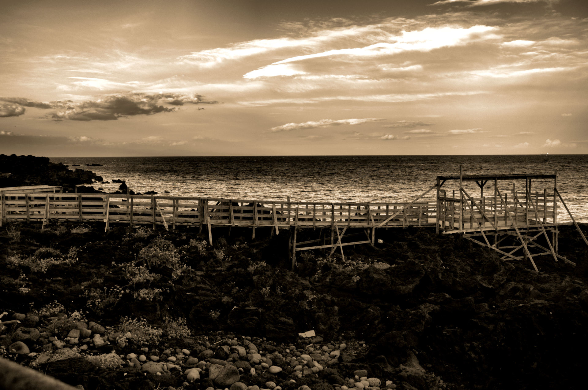 Passerella Solitaria