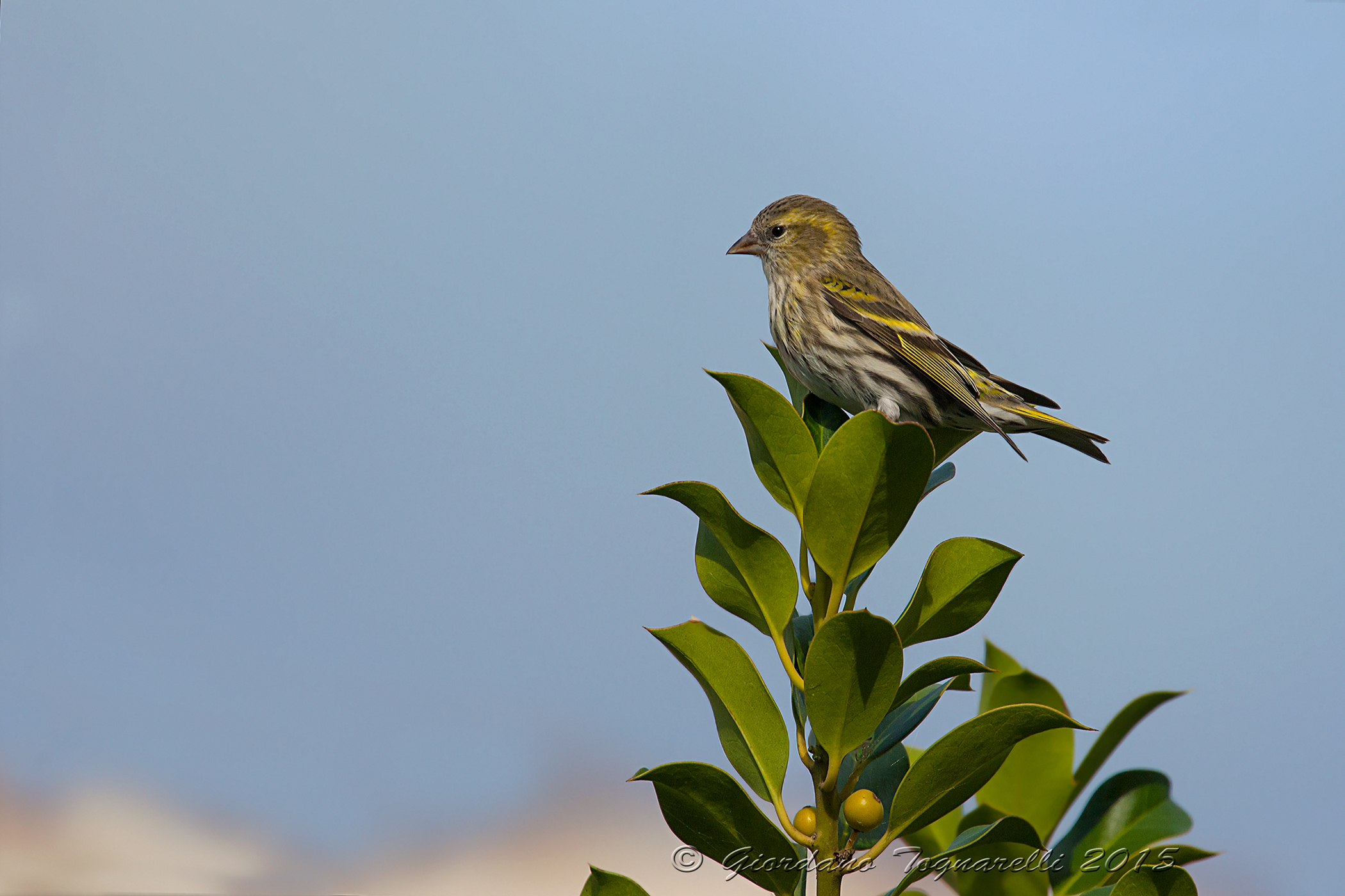 Il passo è rotto...