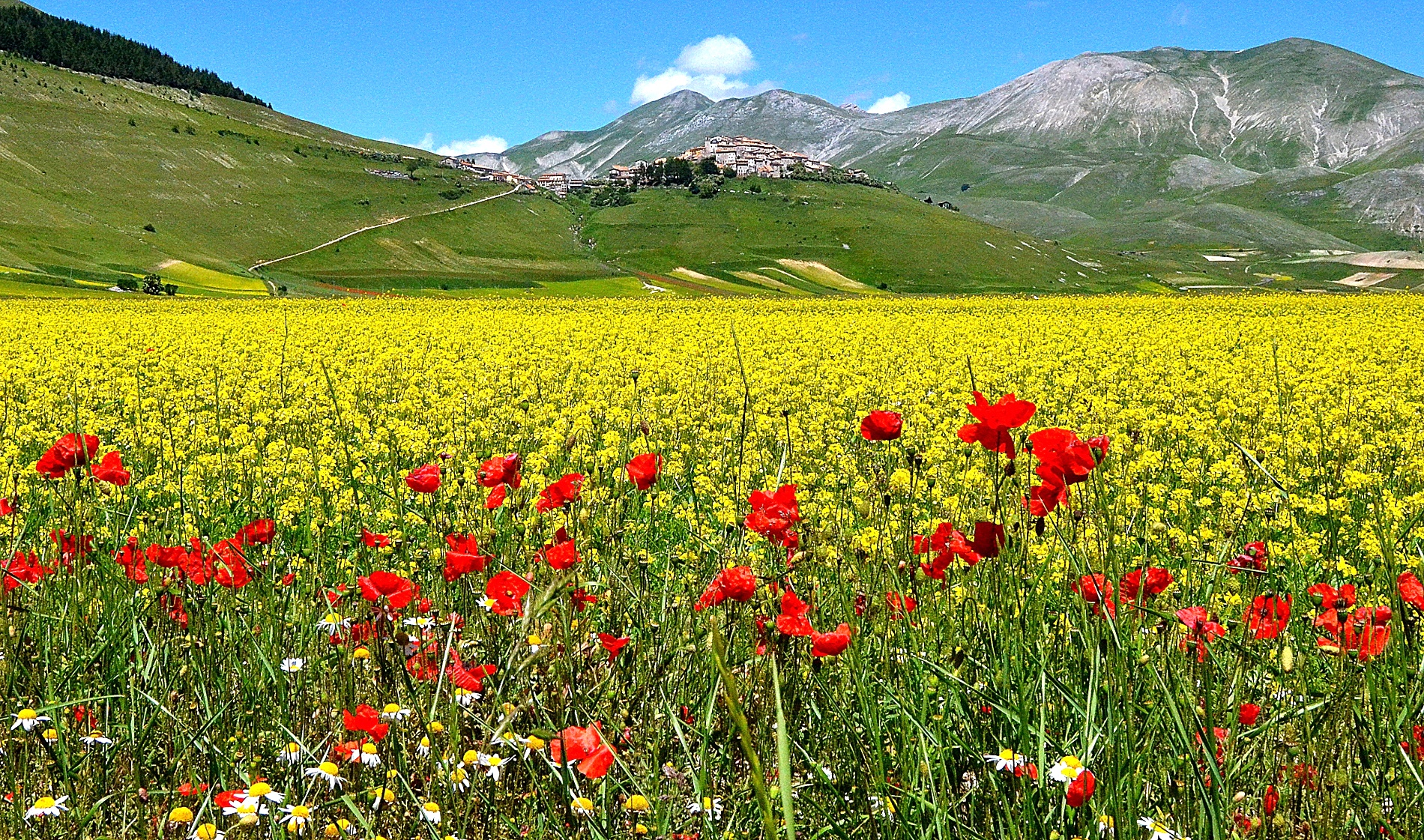 Castelluccio