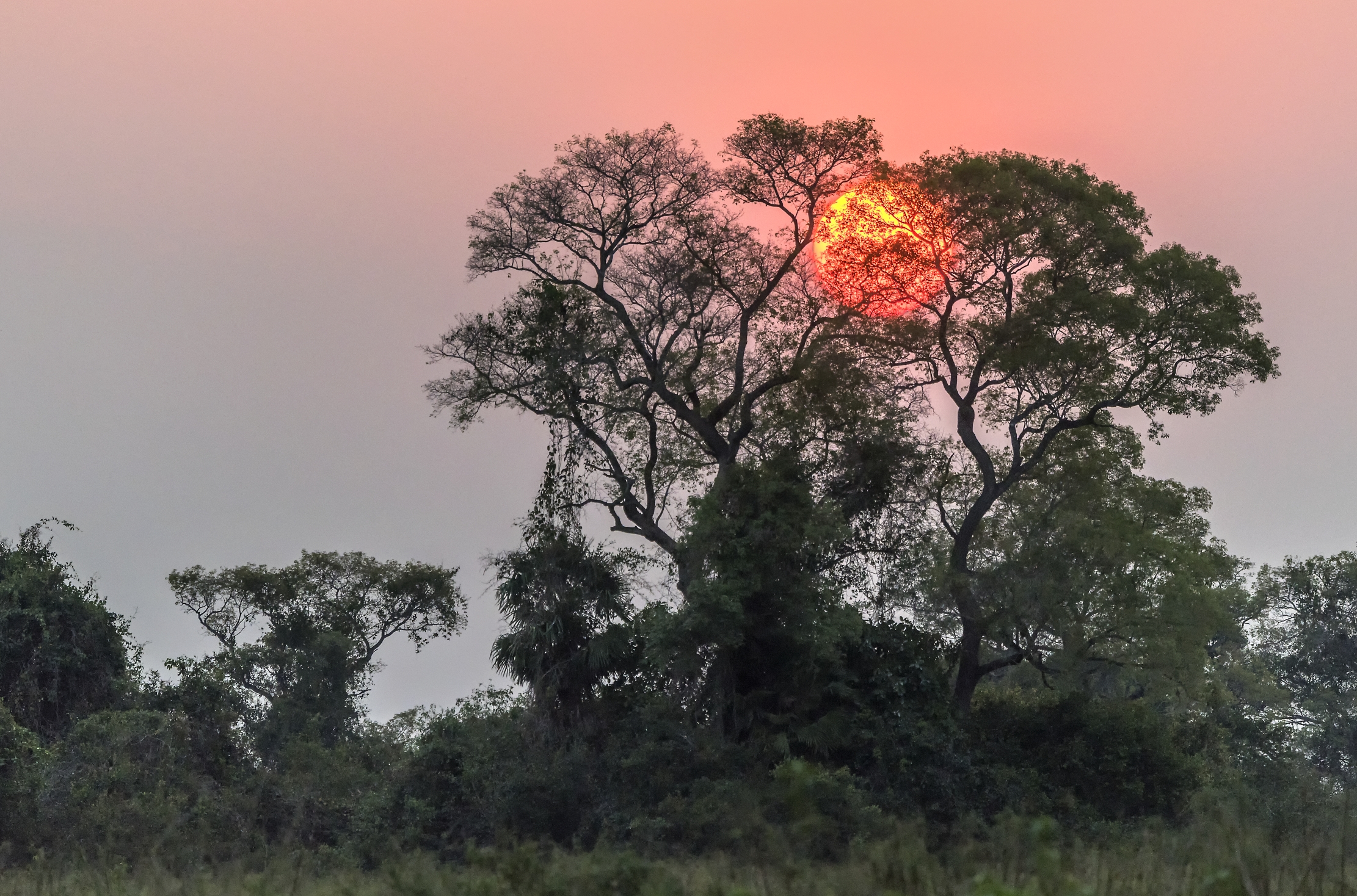 Pantanal 2015 - Tramonto sul Pantanal