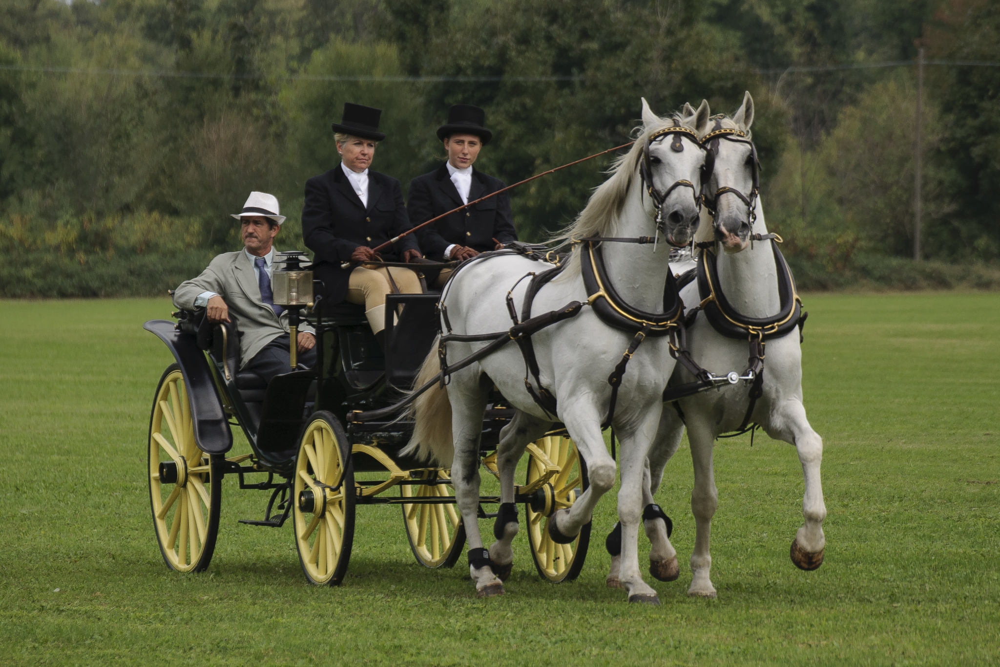 Monza Polo Club 2015