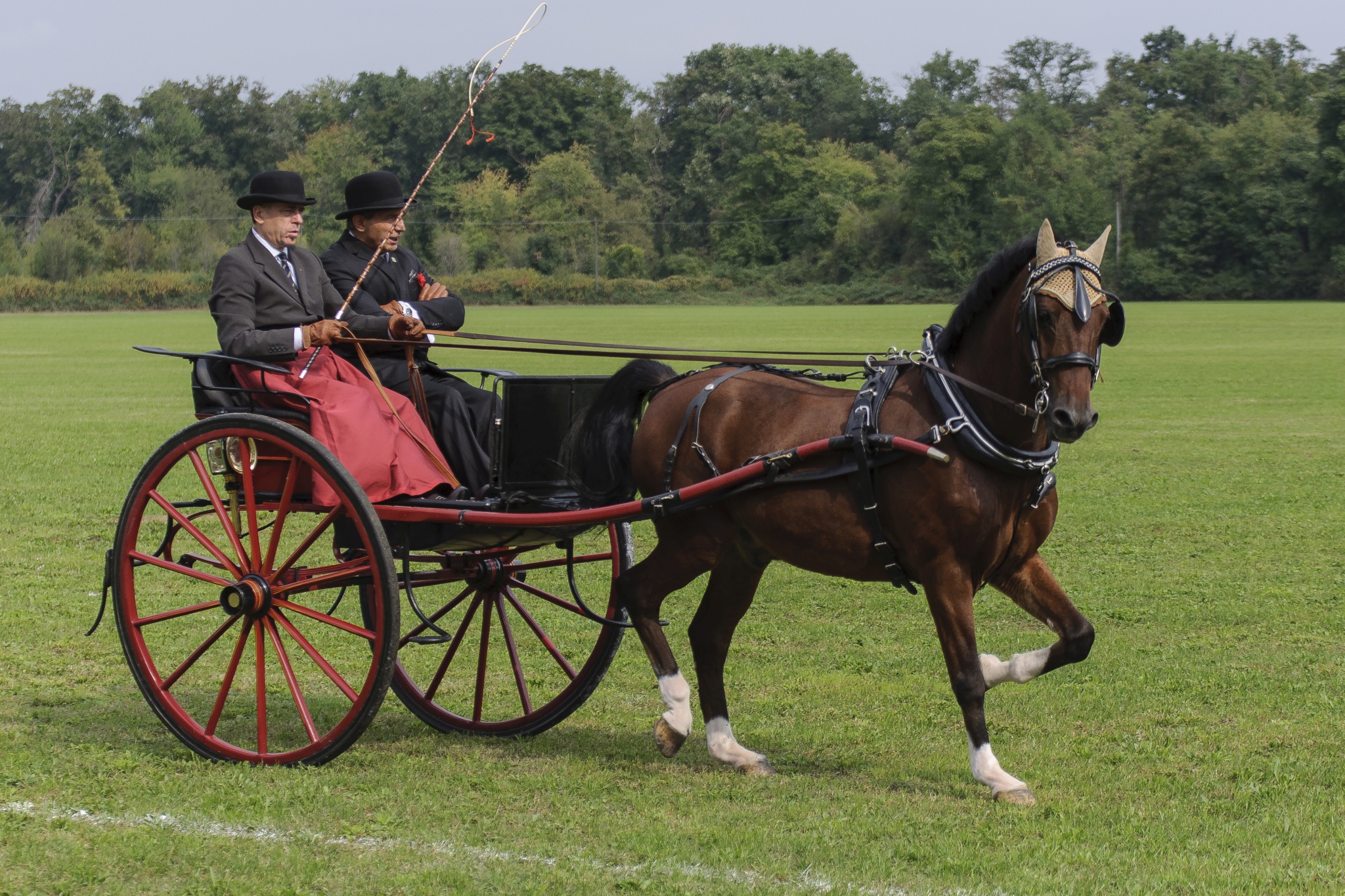 Monza Polo Club 2015