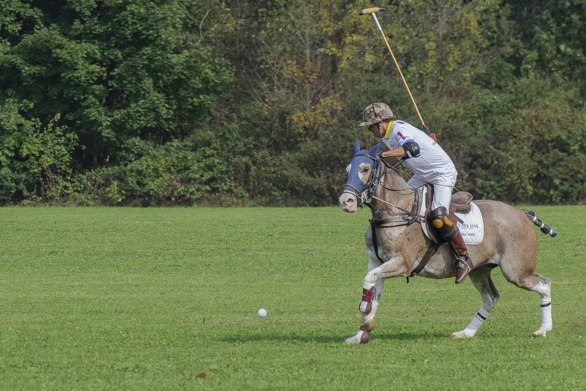 Monza Polo Club 2015