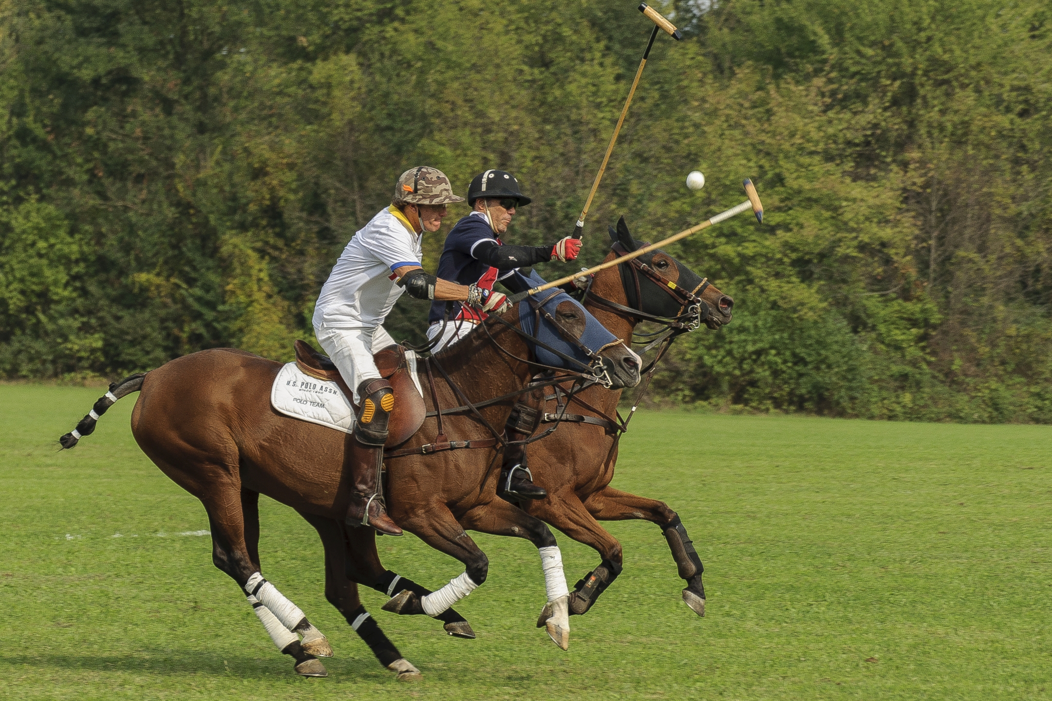 Monza Polo Club 2015