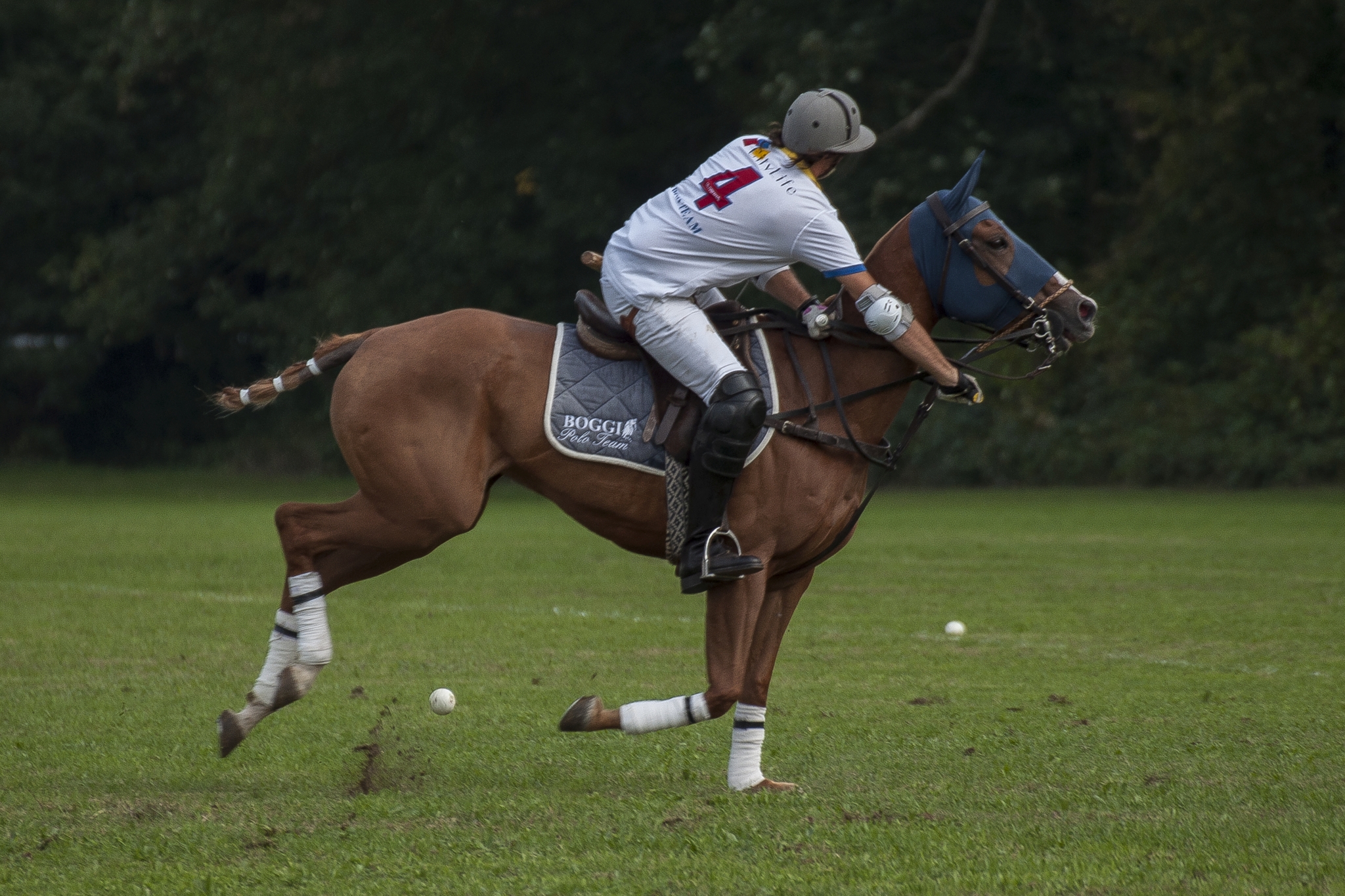 Monza Polo Club 2015