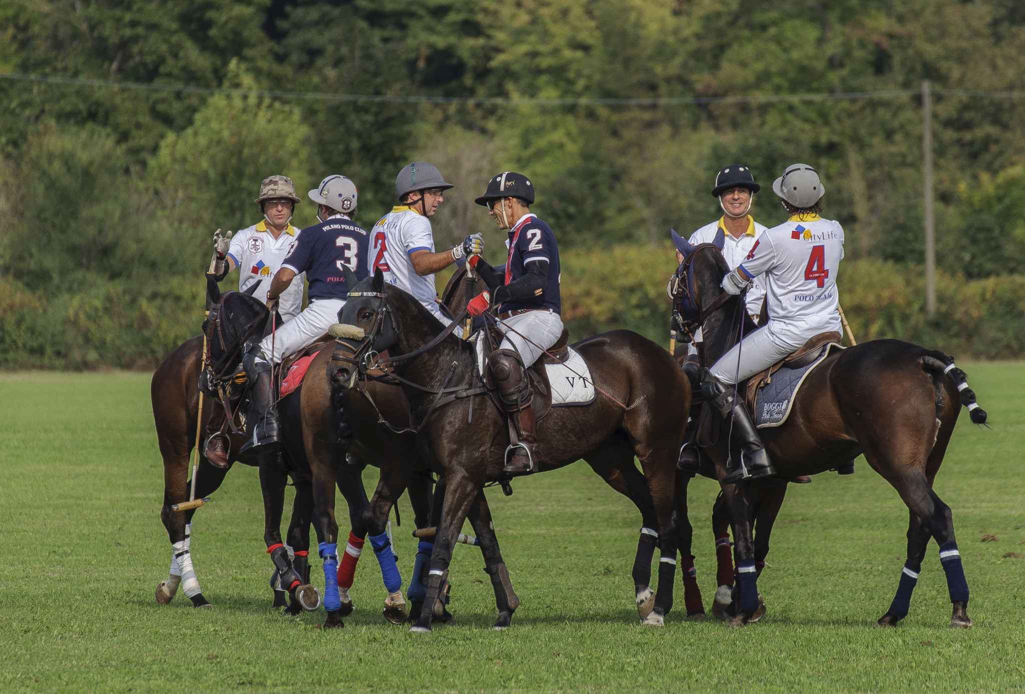 Monza Polo Club 2015