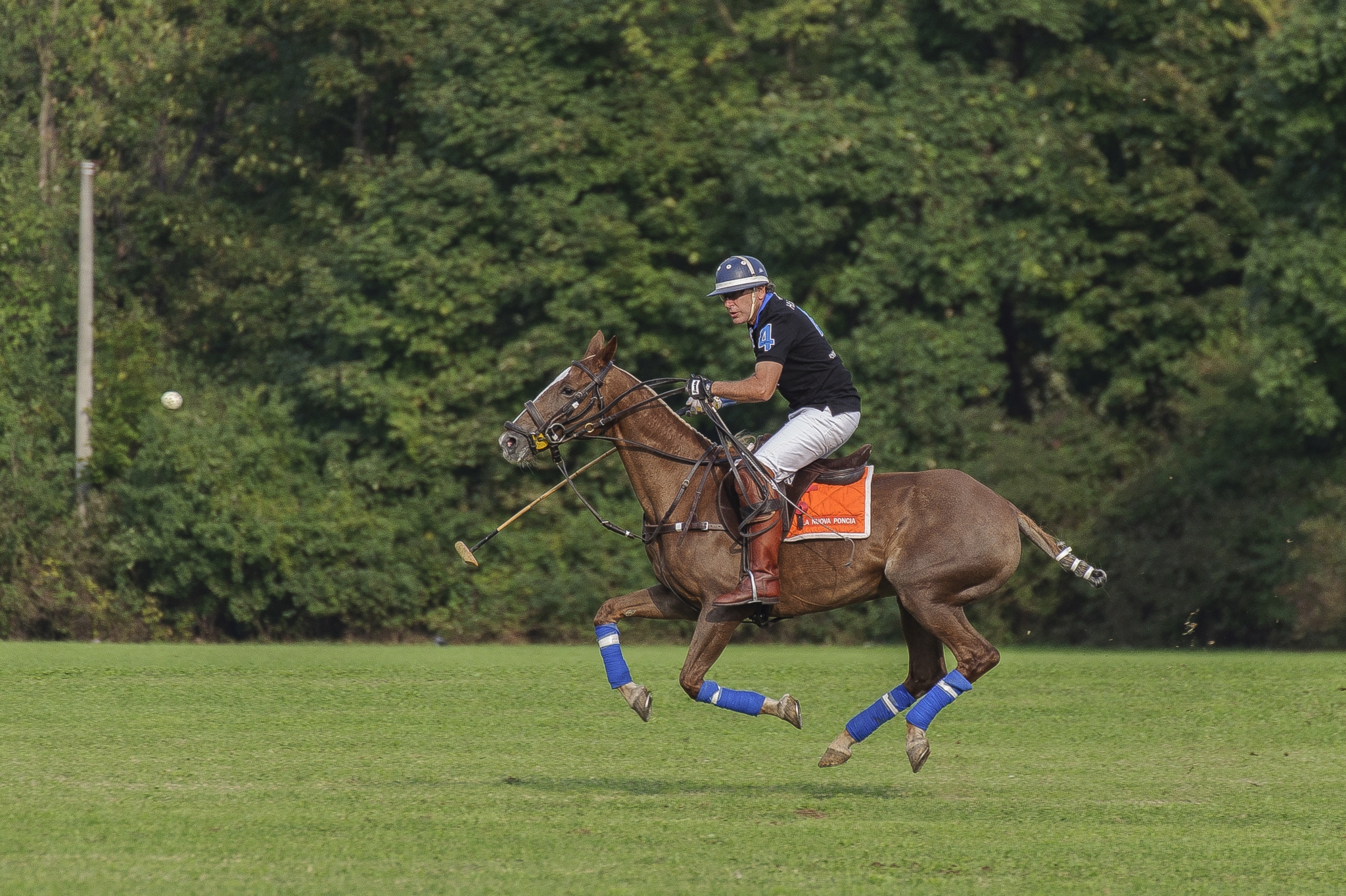 Monza Polo Club 2015