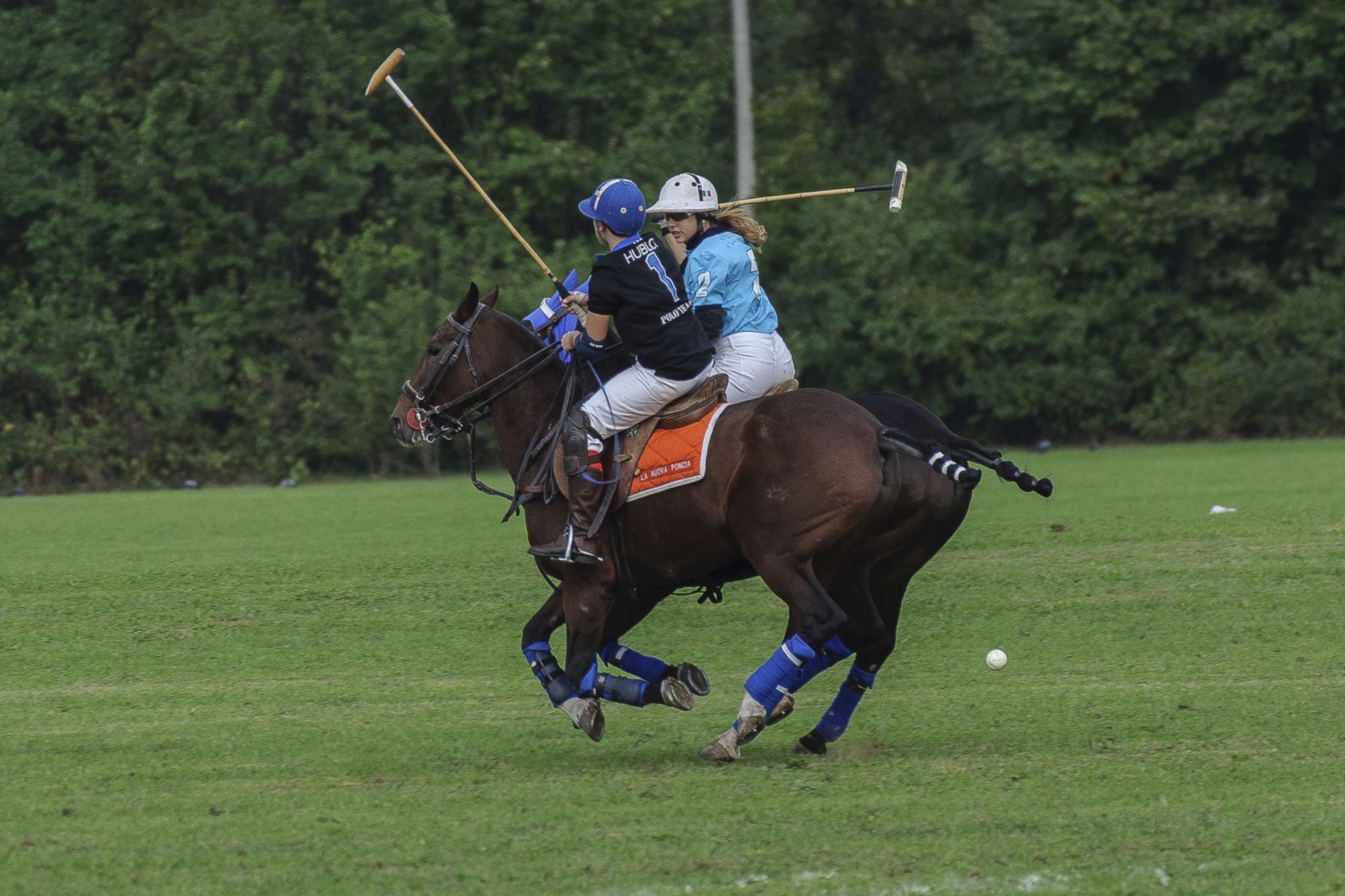 Monza Polo Club 2015