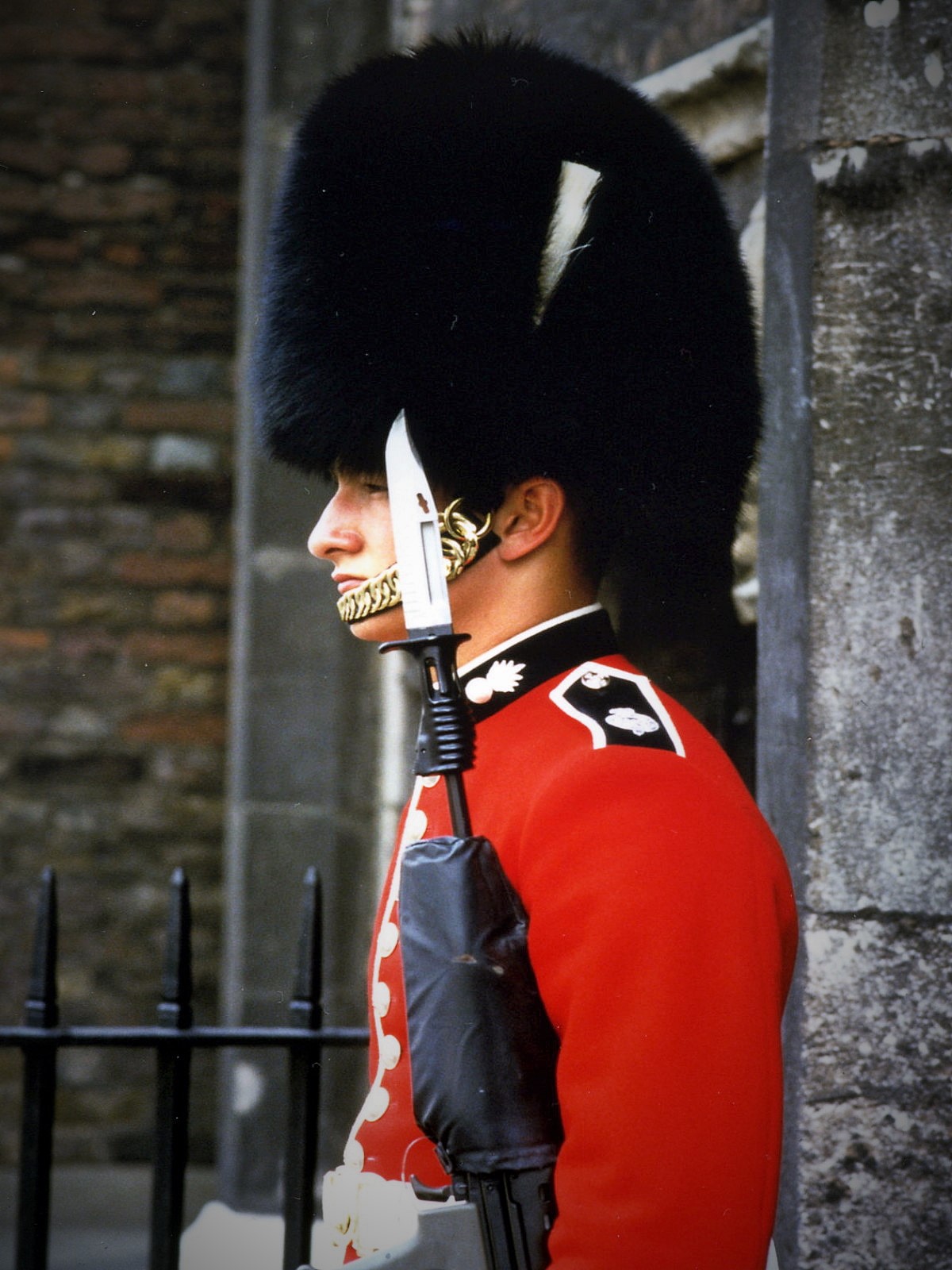 Di guardia alla Torre