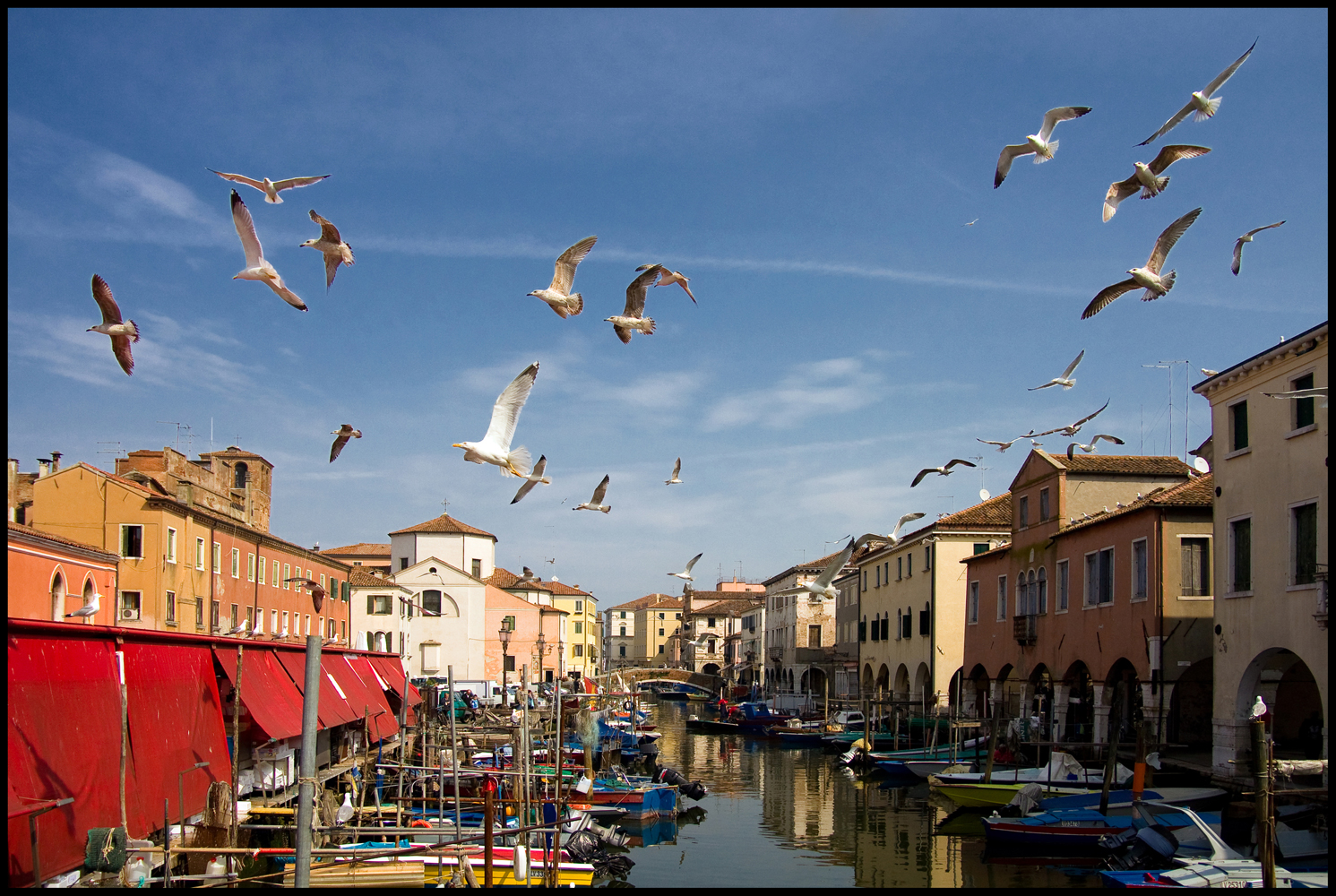 Chioggia