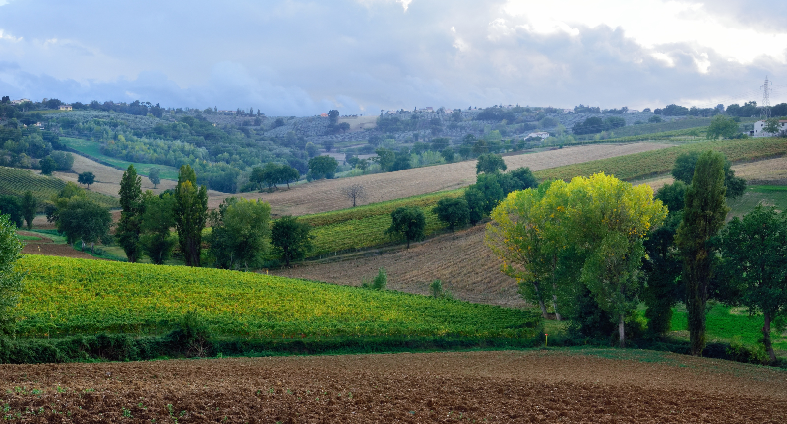 Colline umbre - Montefalco