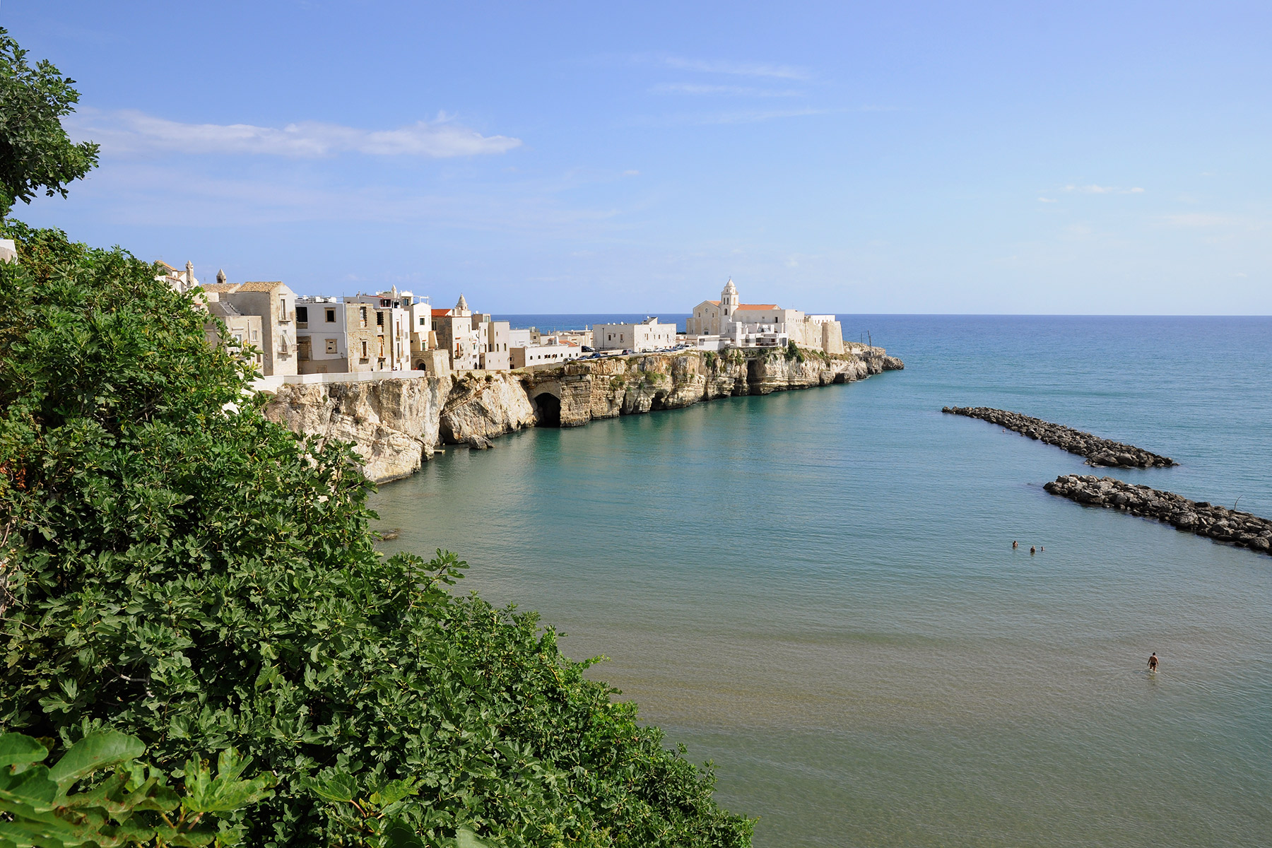 Vieste