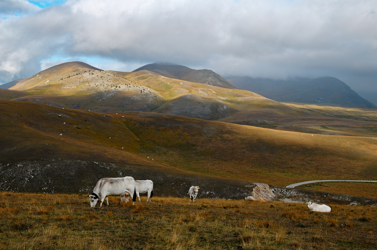 Campo Imperatore