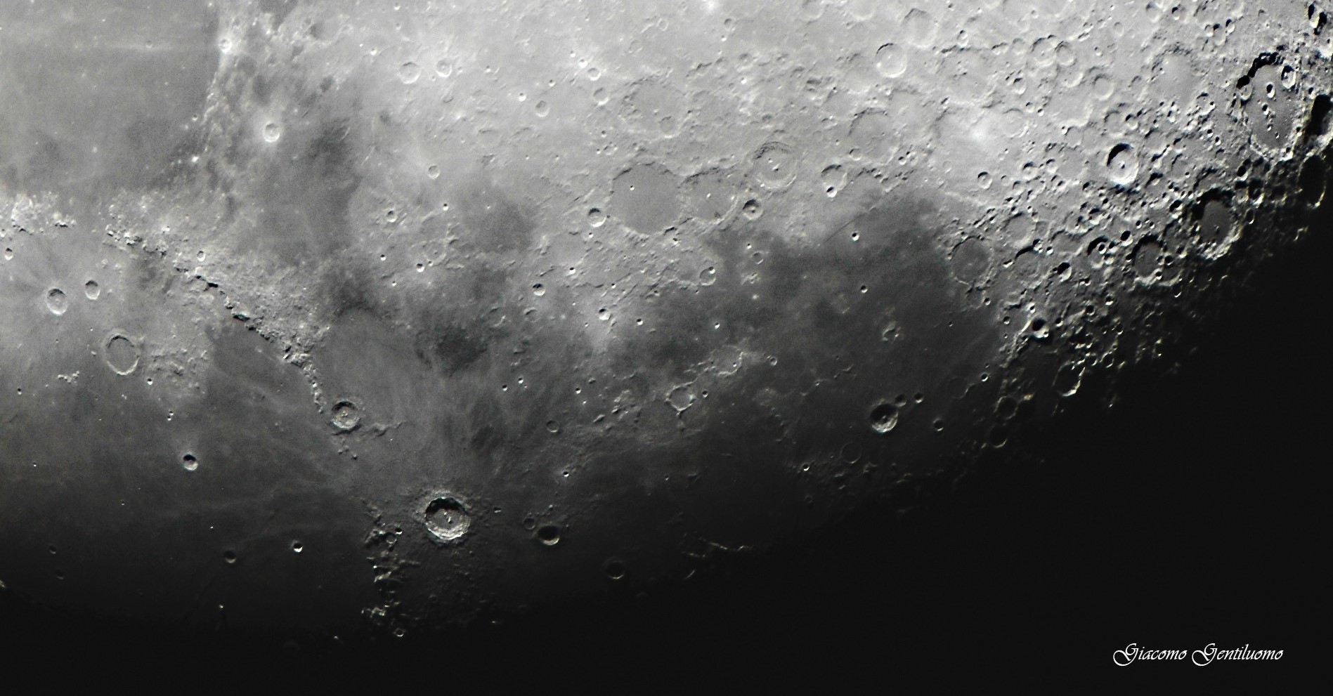 terminatore, particolari