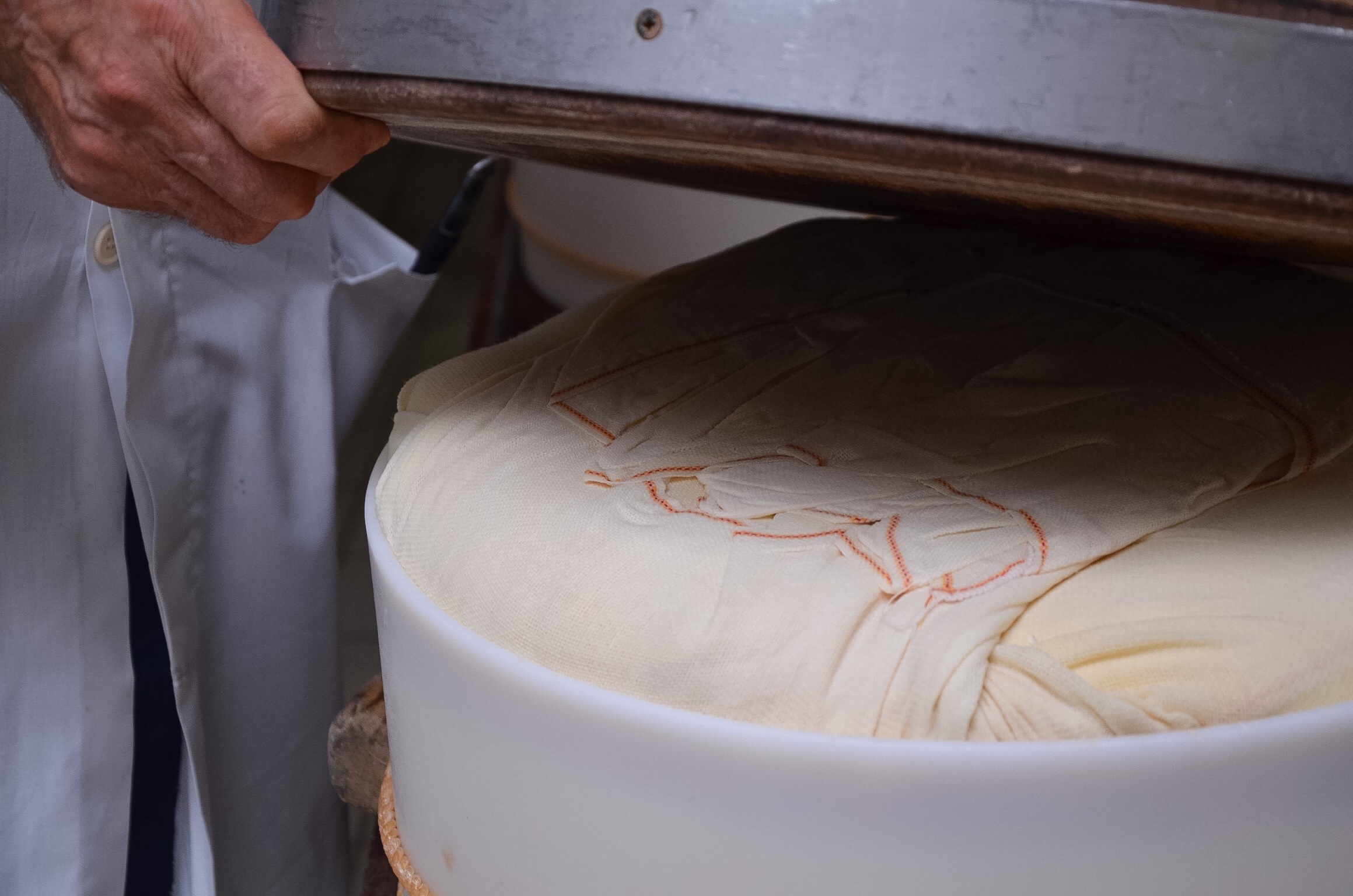 Processing of Parmigiano Reggiano