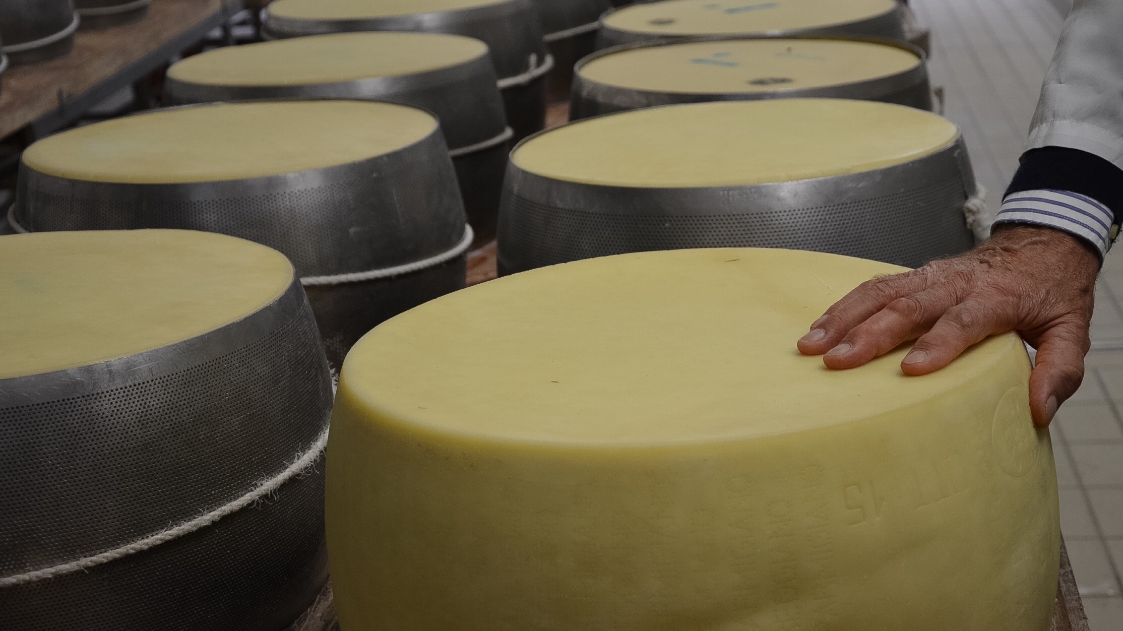 Processing of Parmigiano Reggiano
