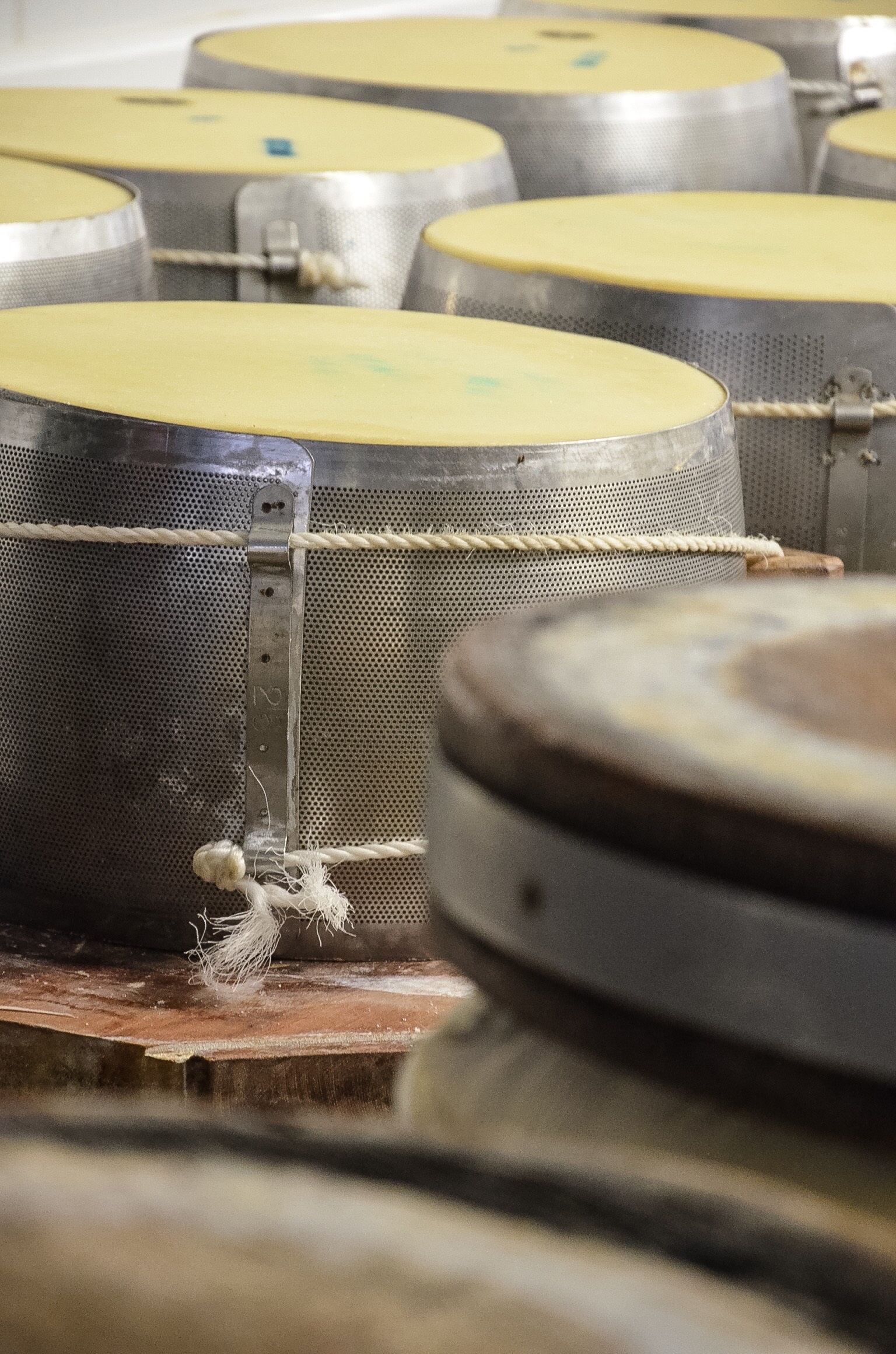 Processing of Parmigiano Reggiano
