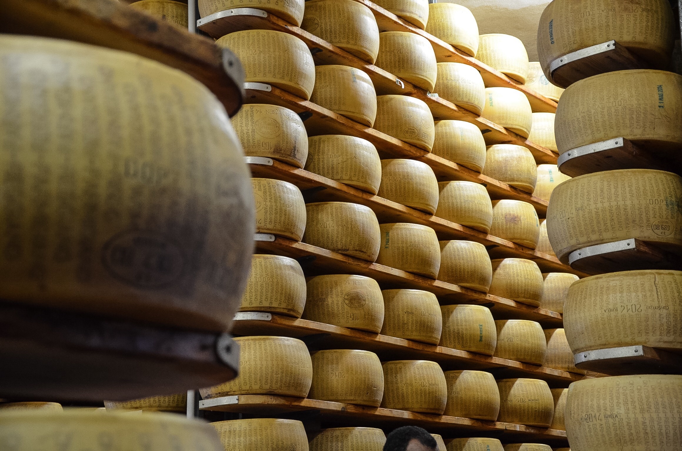 Processing of Parmigiano Reggiano