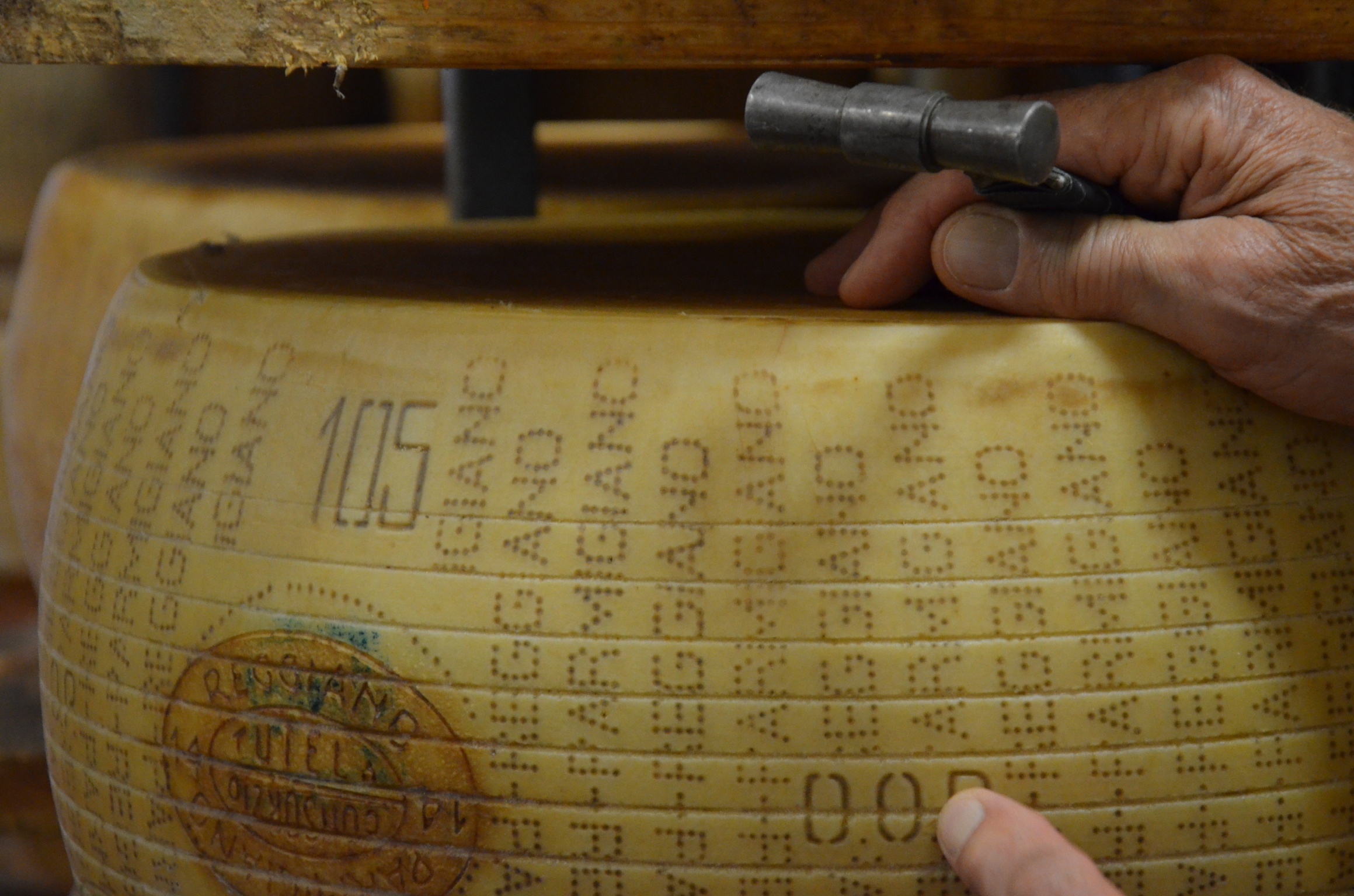 Processing of Parmigiano Reggiano