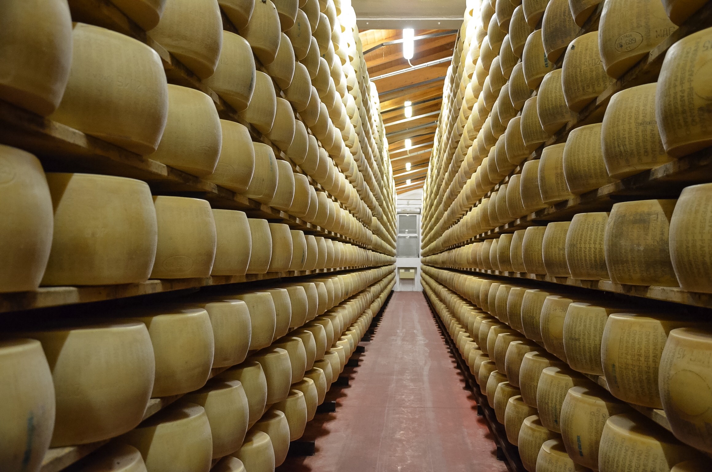 Processing of Parmigiano Reggiano