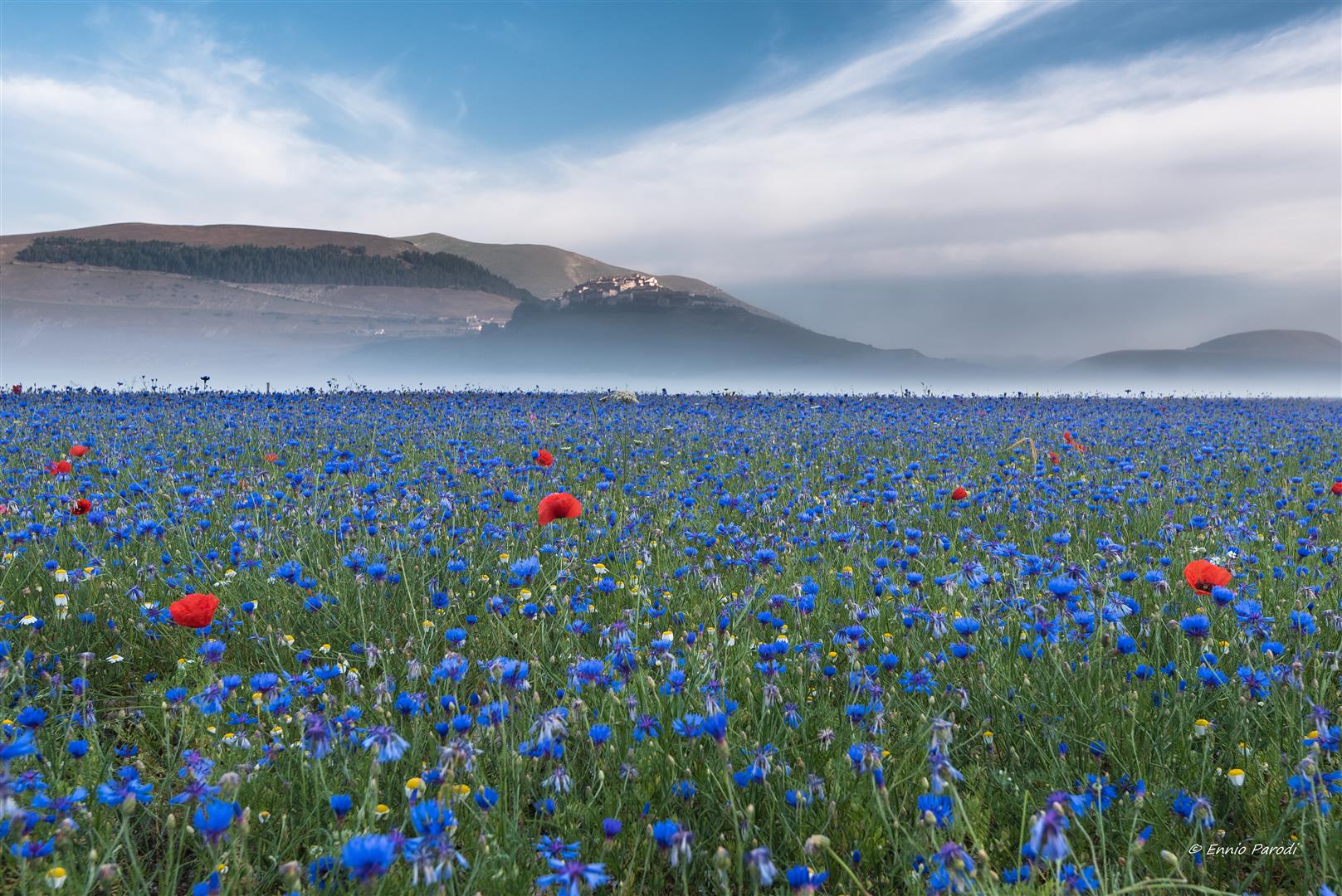 Castelluccio