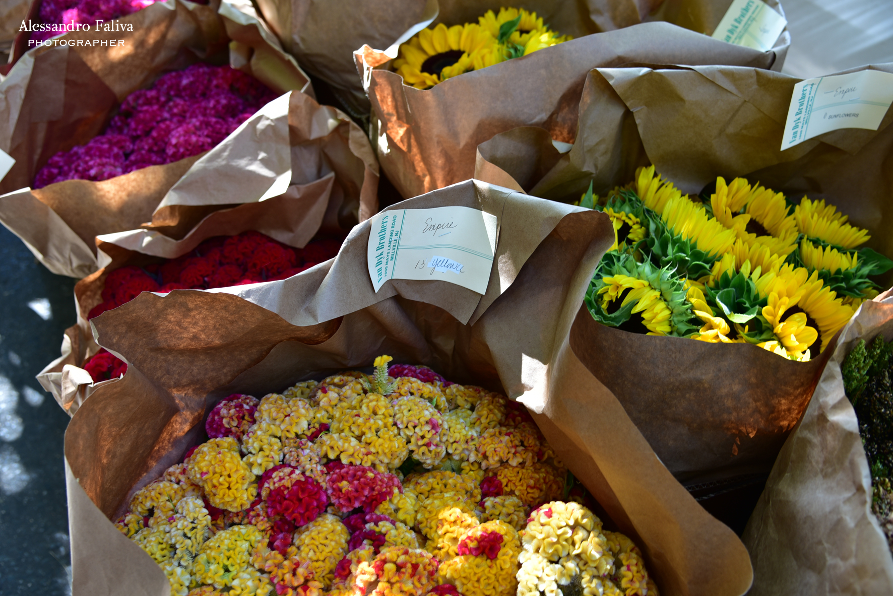 New York, flower market in Chelsea