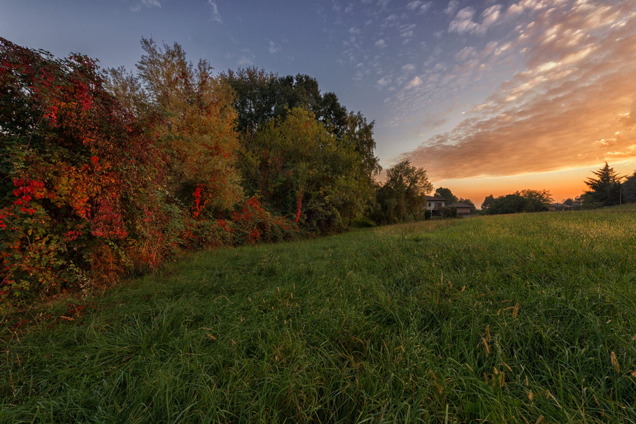 Foliage is coming ...