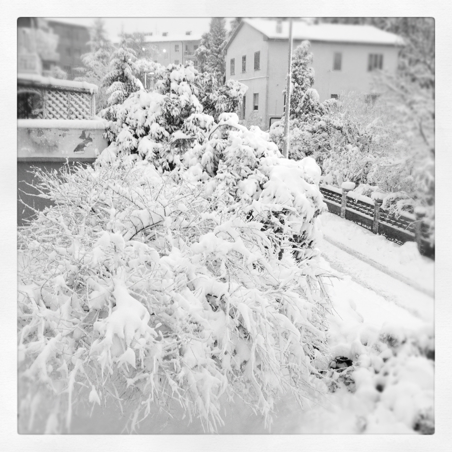 Neve dalla finestra