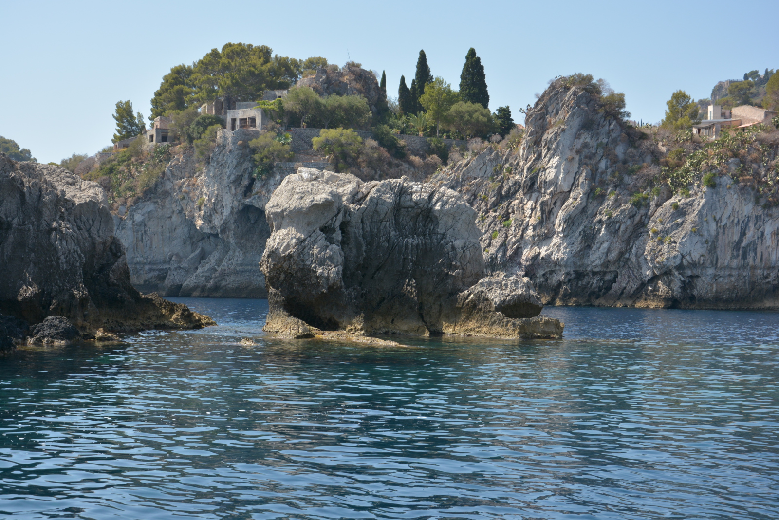 the elephant in the sea ...