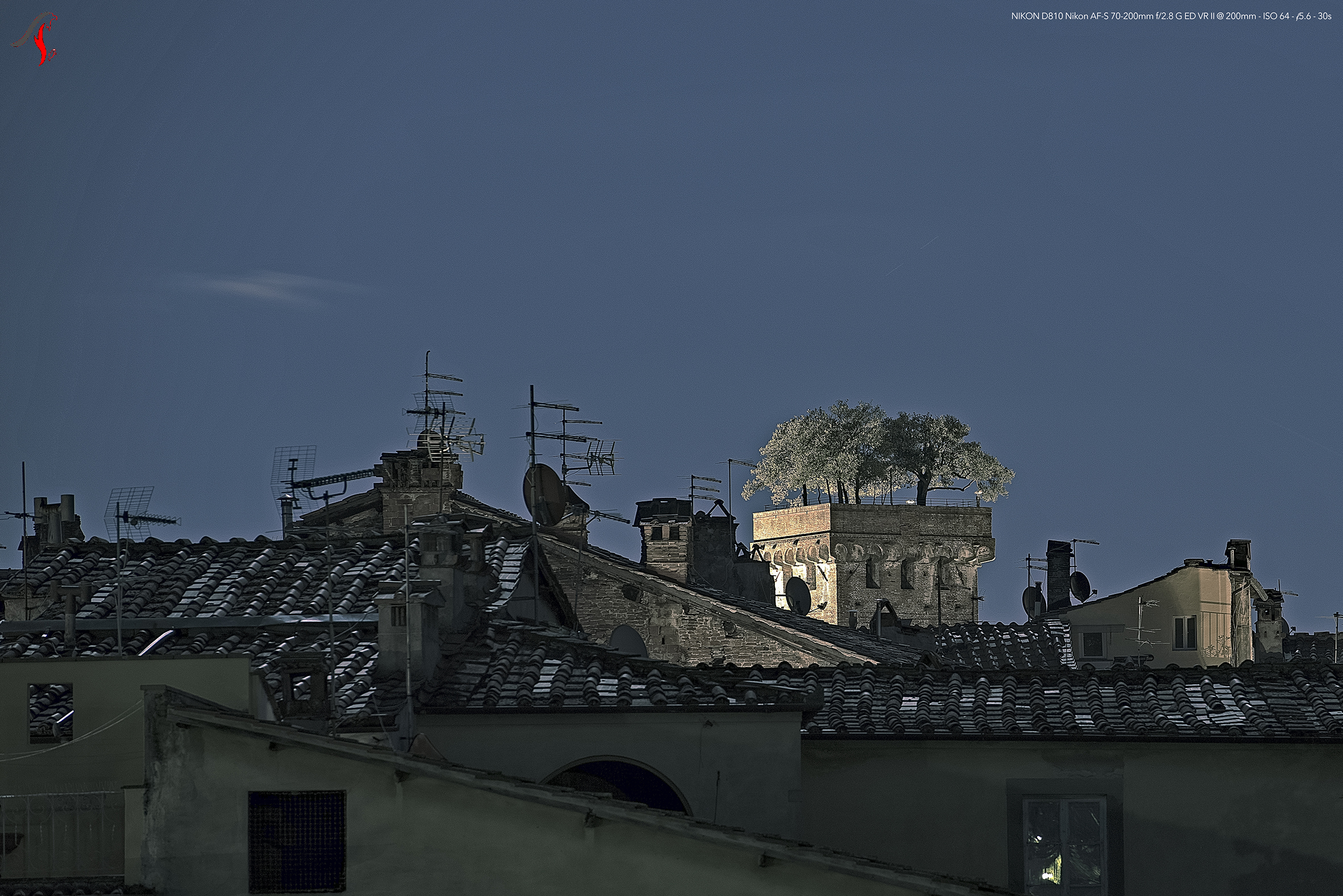 Lucca - Guinigi Tower