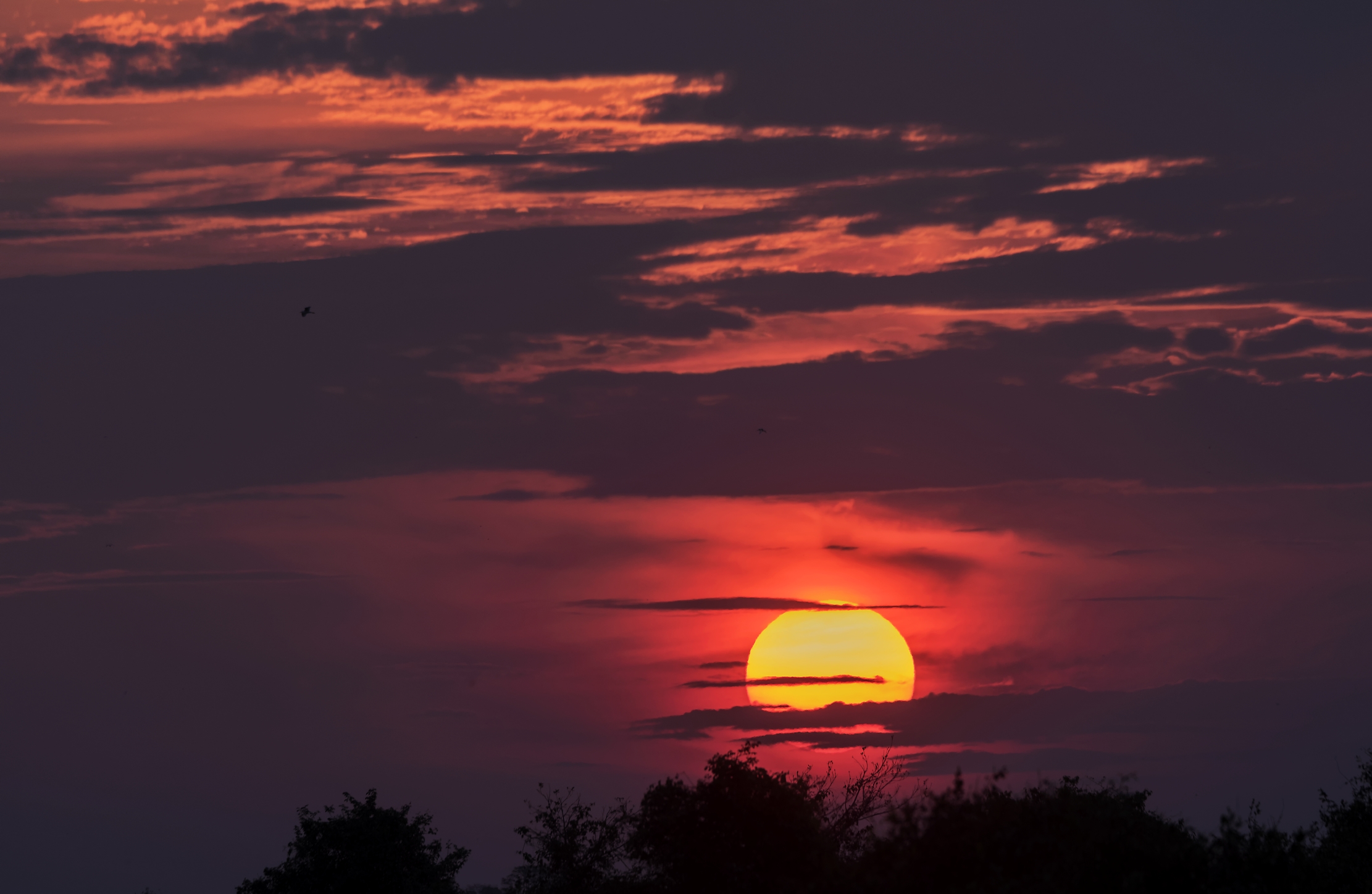 Pantanal 2015 - Tramonto sul Pantanao