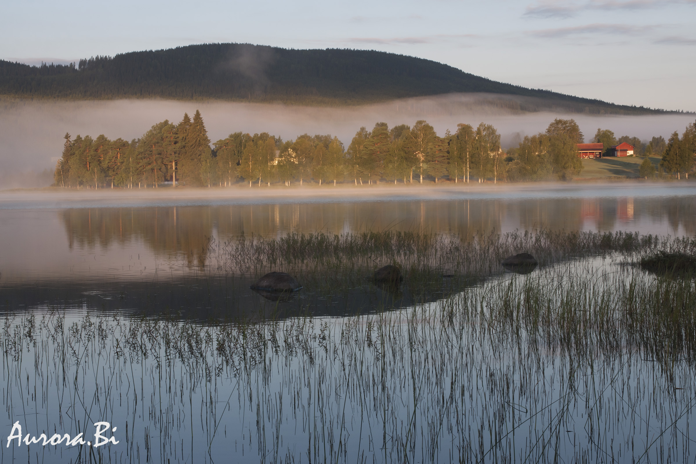 Il risveglio del giorno