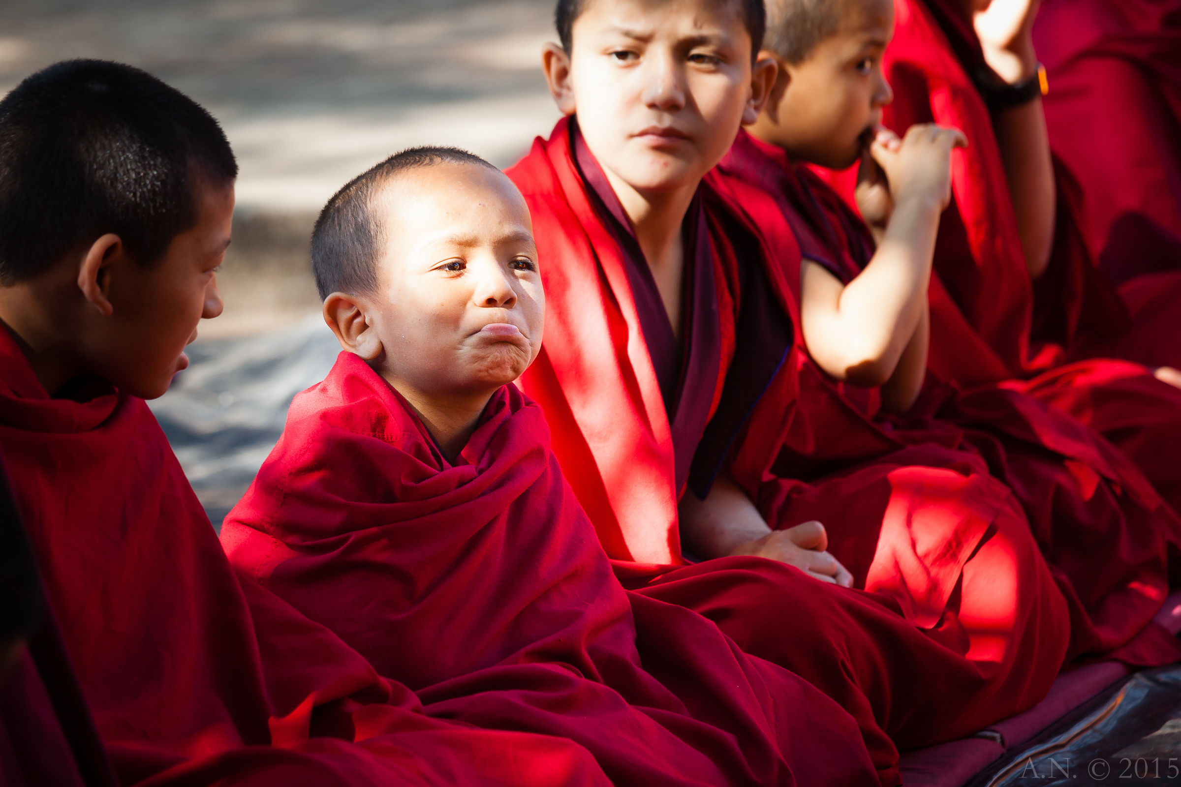Il giovane monaco di Bodh Gaya