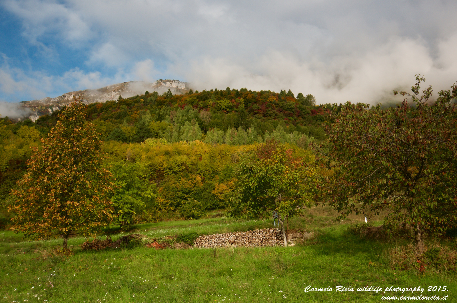 tavolozza di colori autunnali.