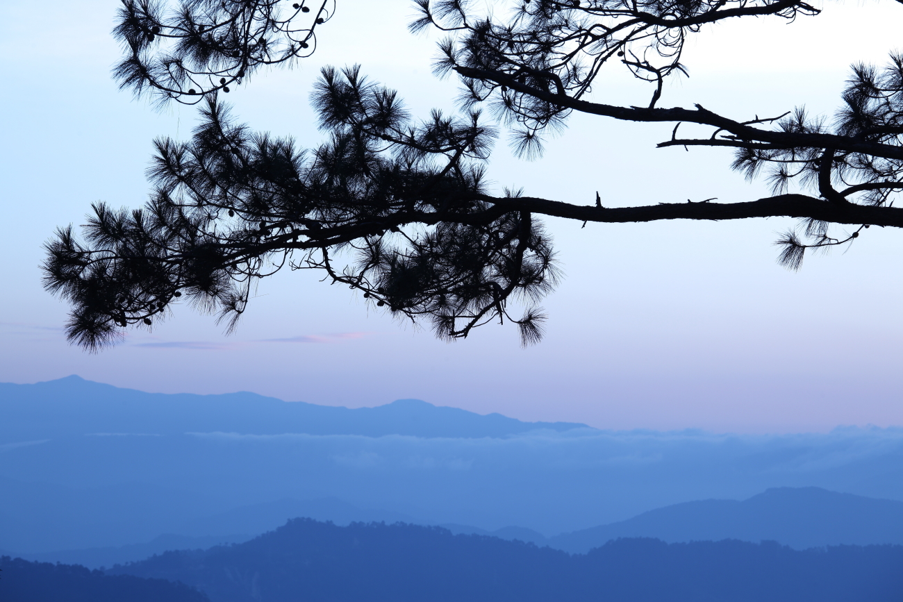 scenario da Manor Hotel, Baguio