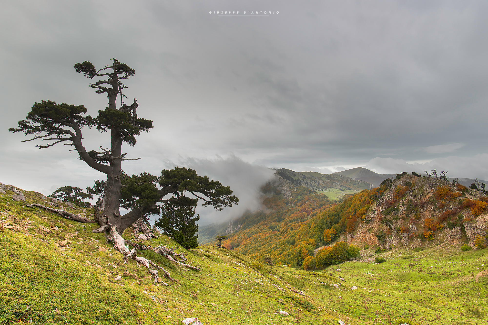 Autumn in The Pollino National Park