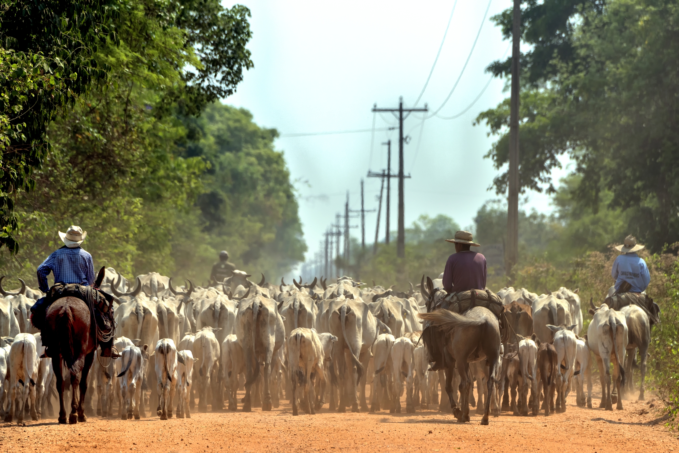 Pantanal 2015 - Pantaneros
