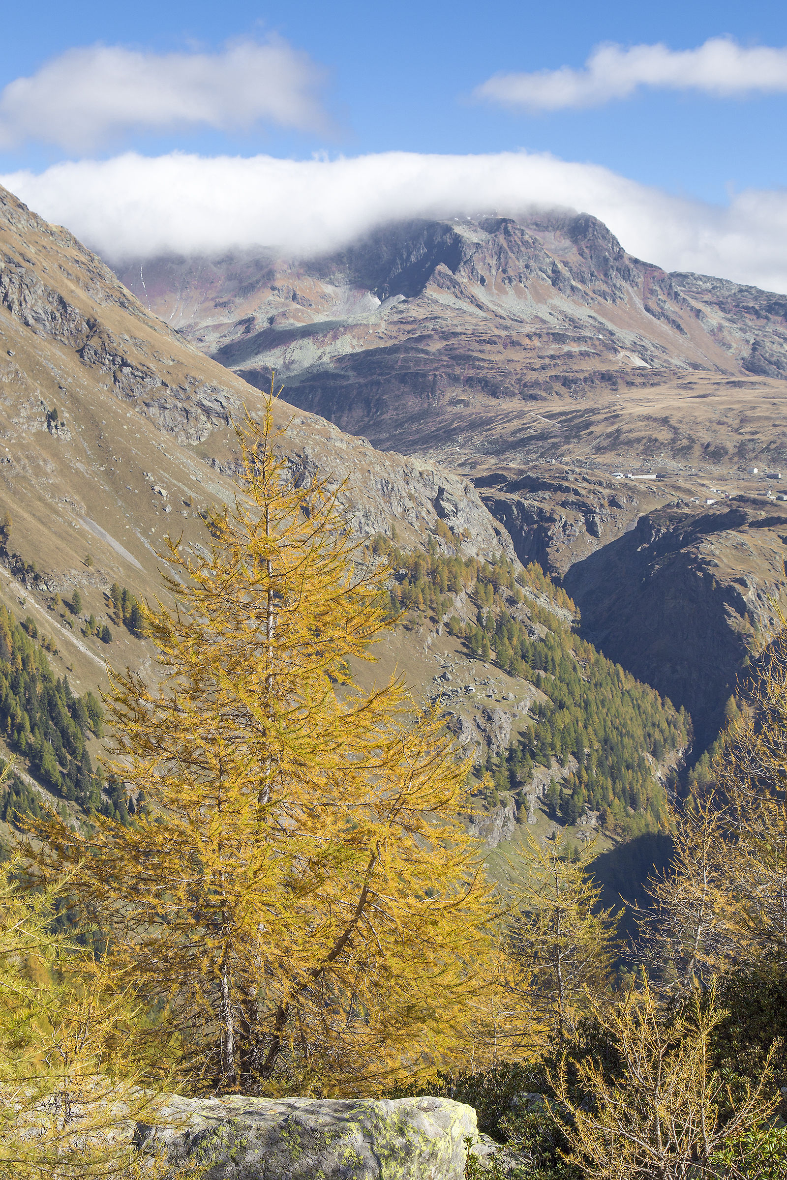 Autumn comes to life