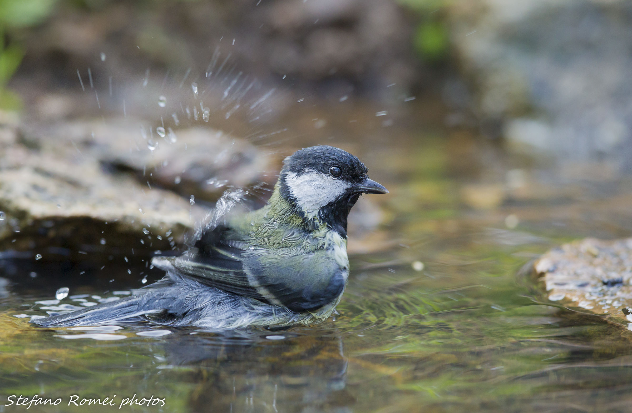 bath slow motion