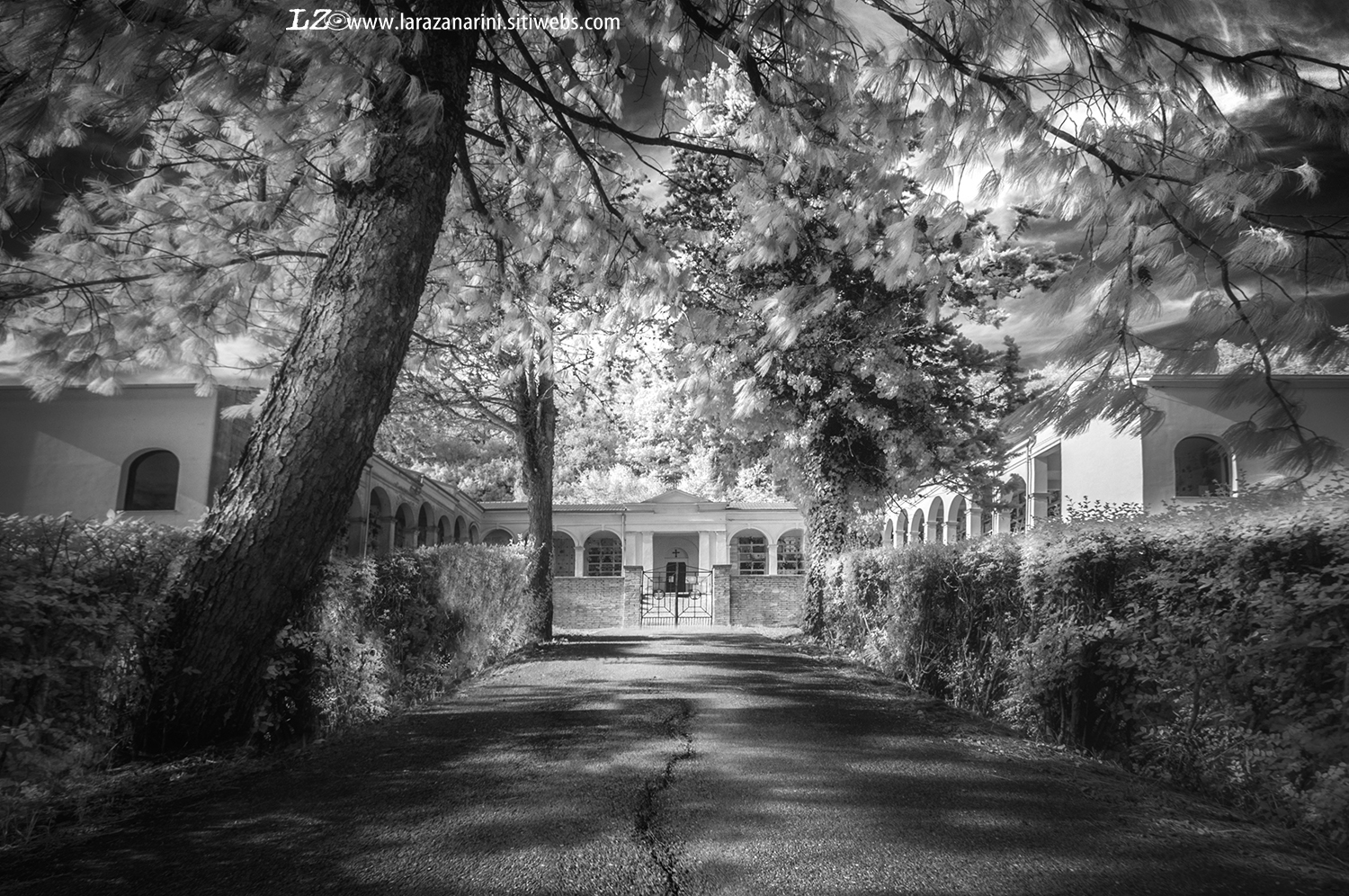 In you the wars and the accumulated Flights