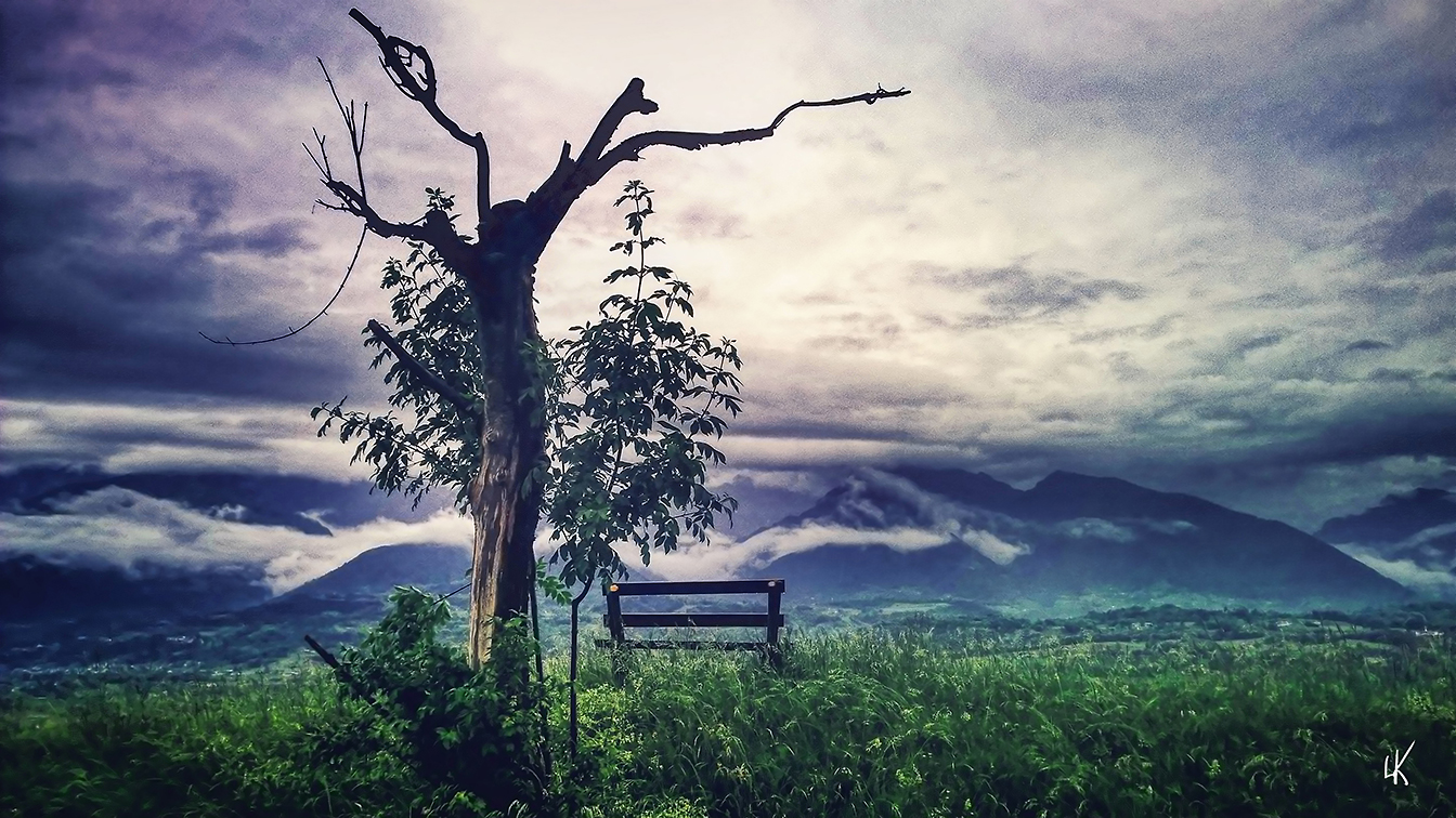 Reflection of the Druid